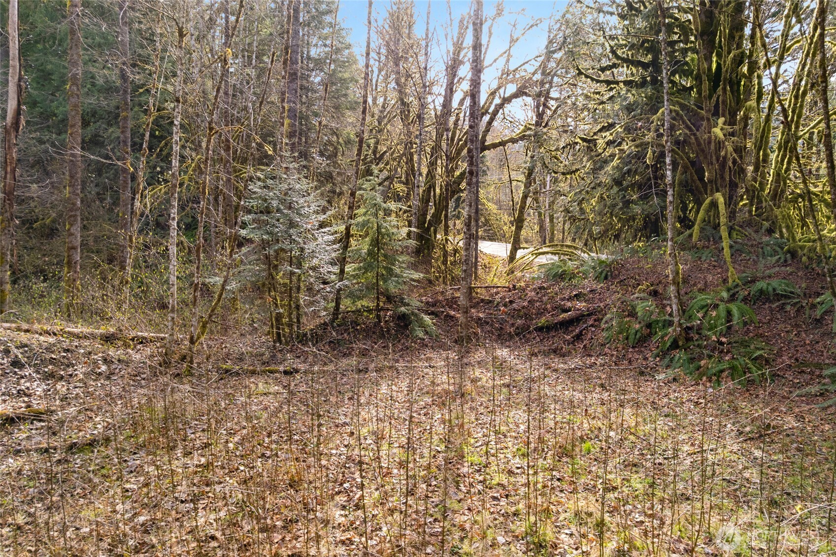 10211 Mt Baker Hwy