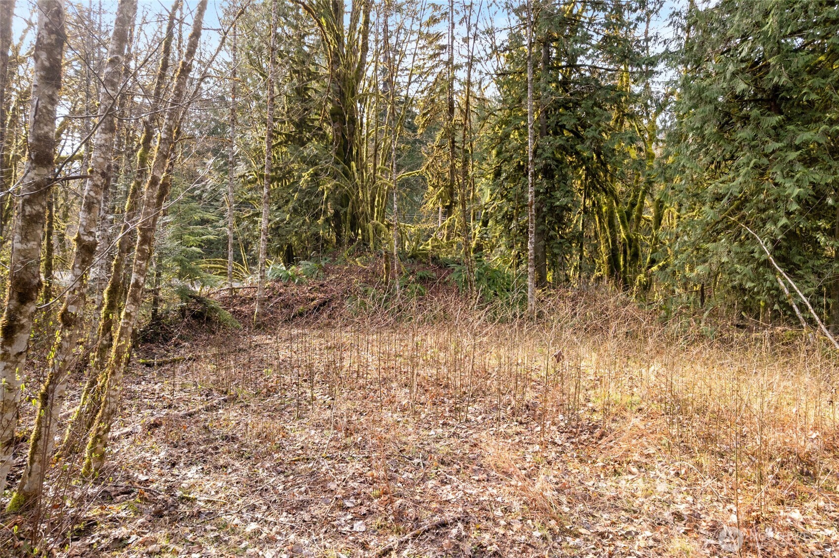 10211 Mt Baker Hwy