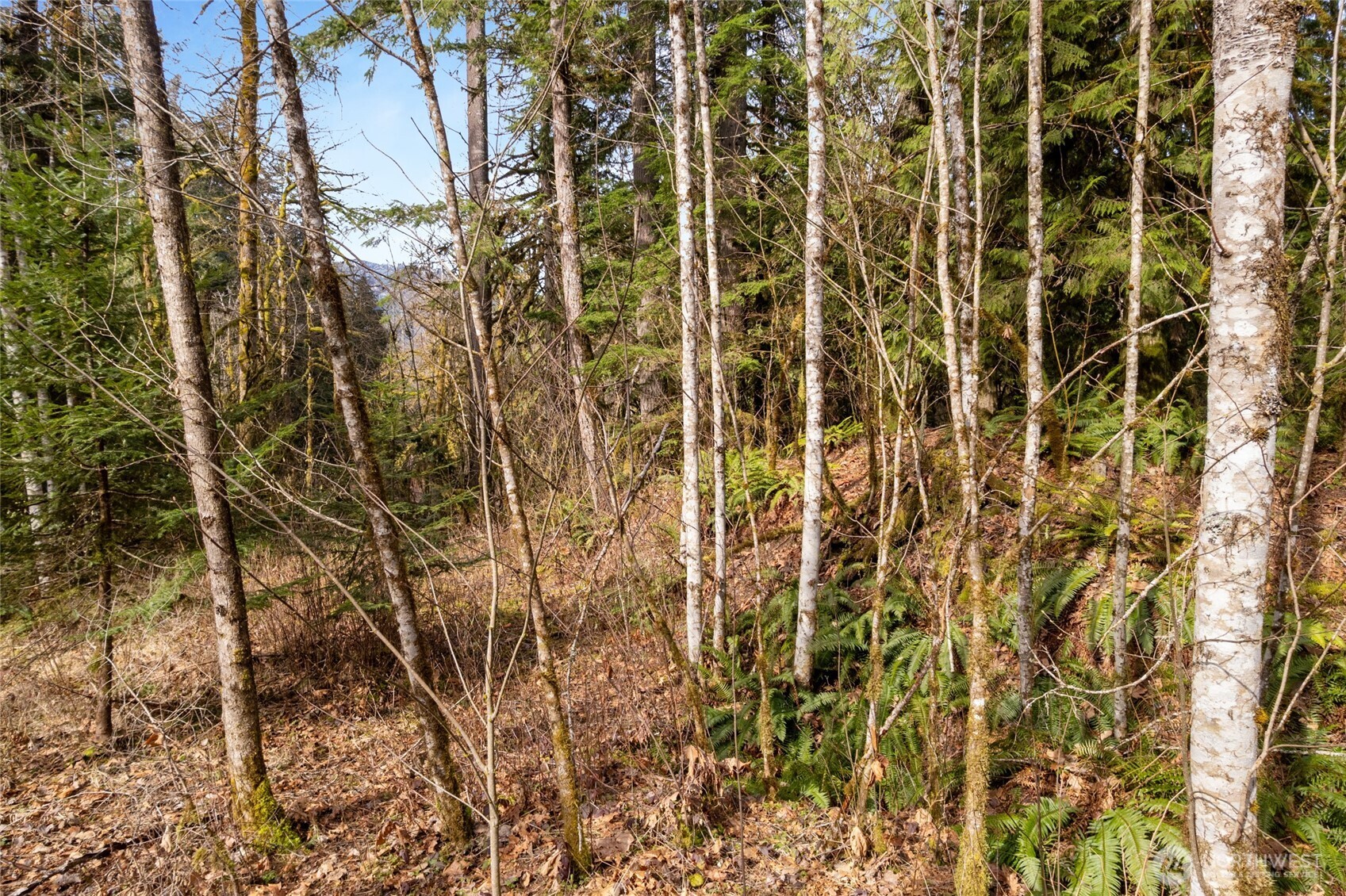 10211 Mt Baker Hwy