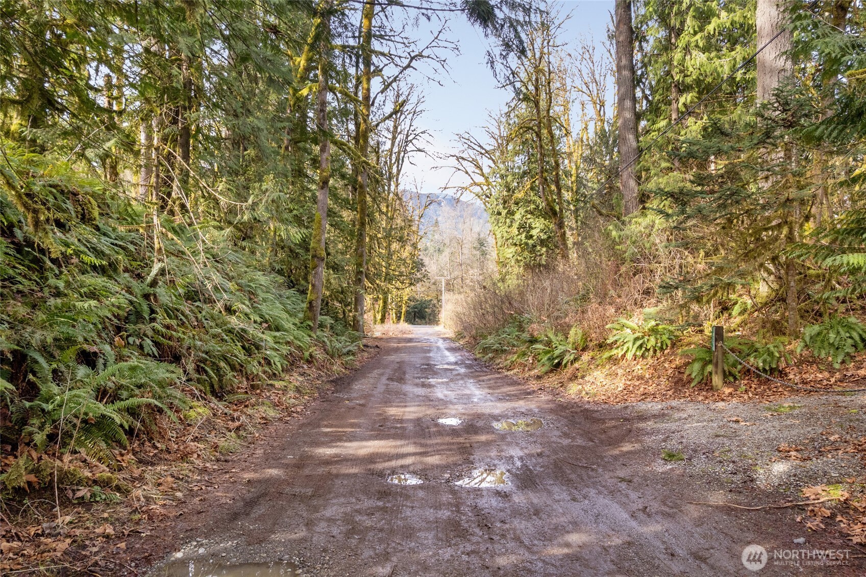 10211 Mt Baker Hwy