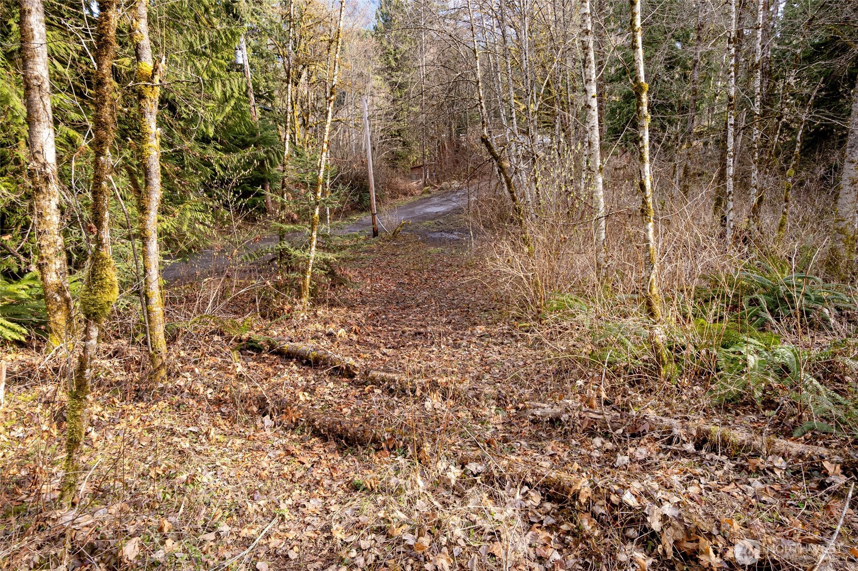 10211 Mt Baker Hwy