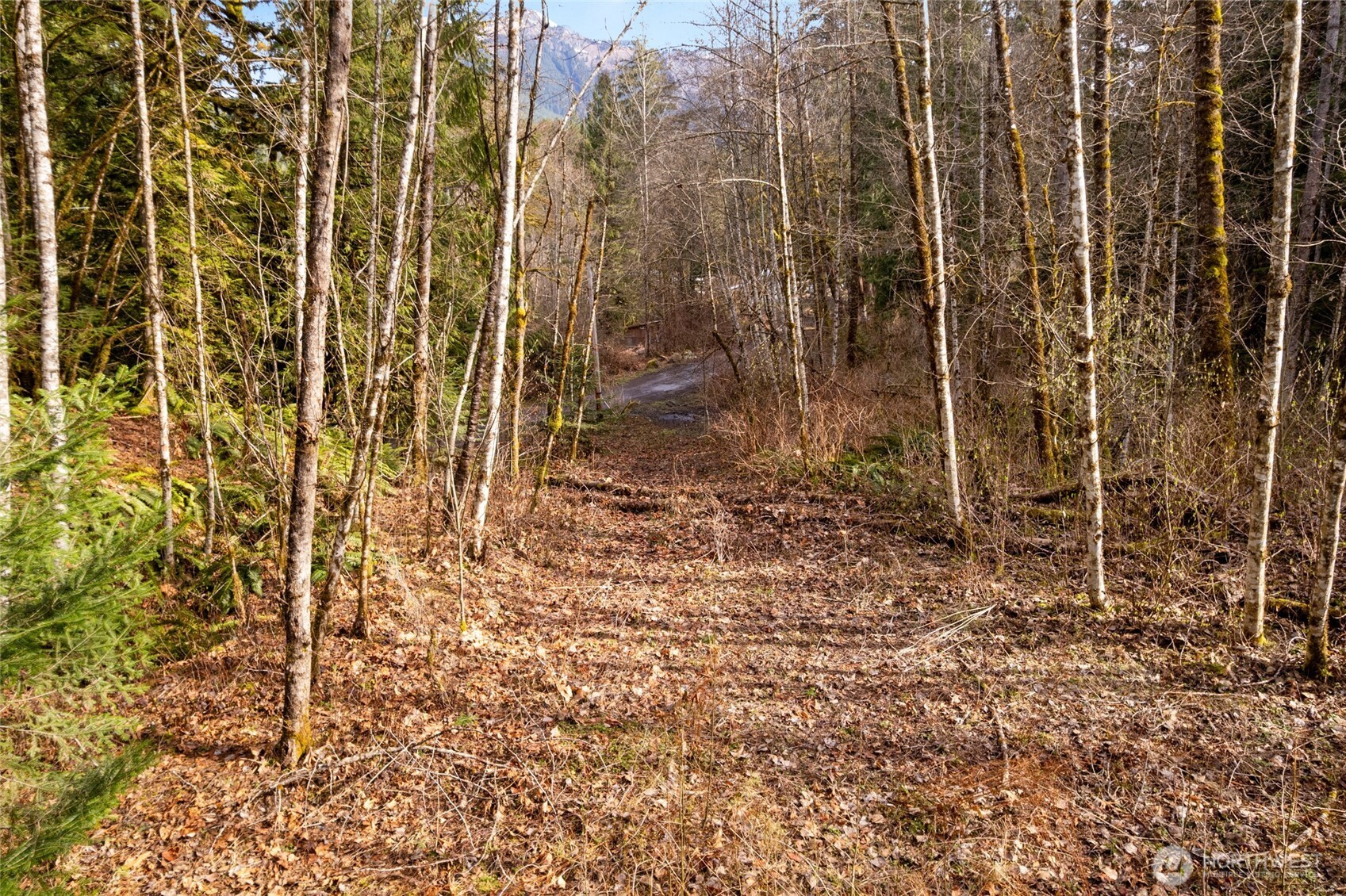 10211 Mt Baker Hwy
