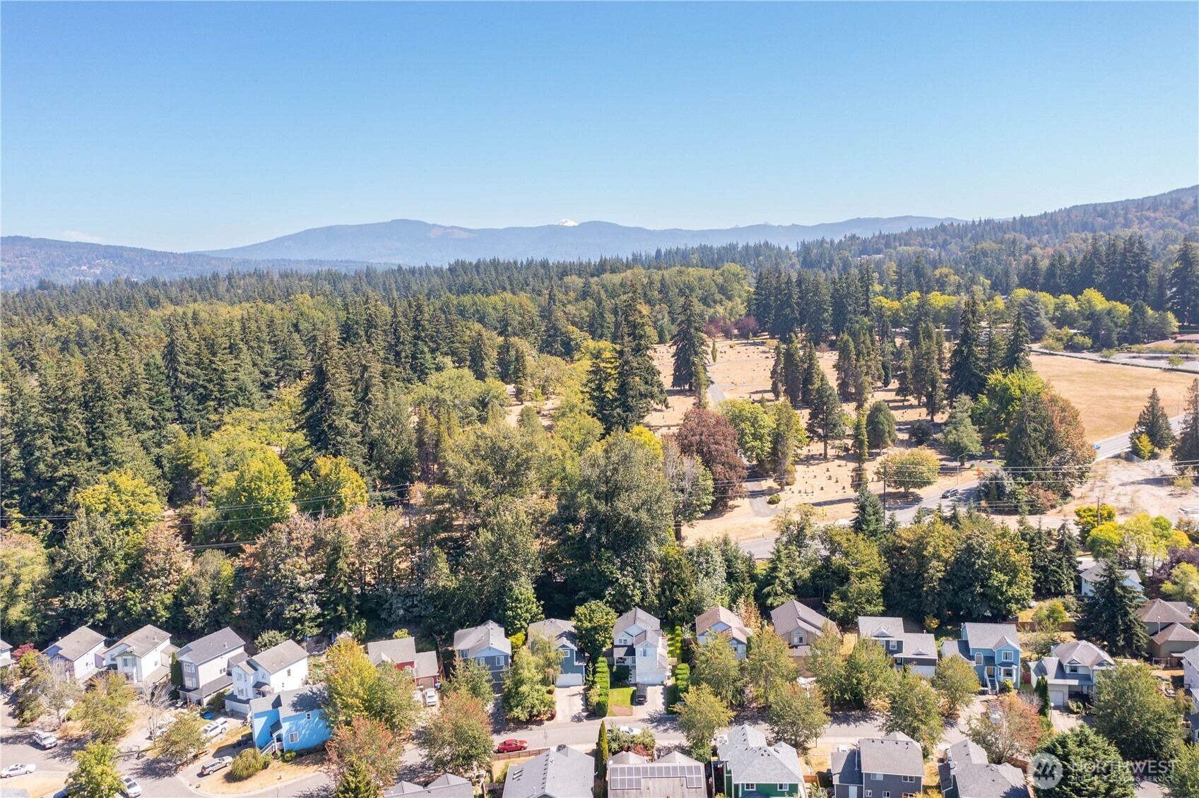 1428 Sweetbay Drive