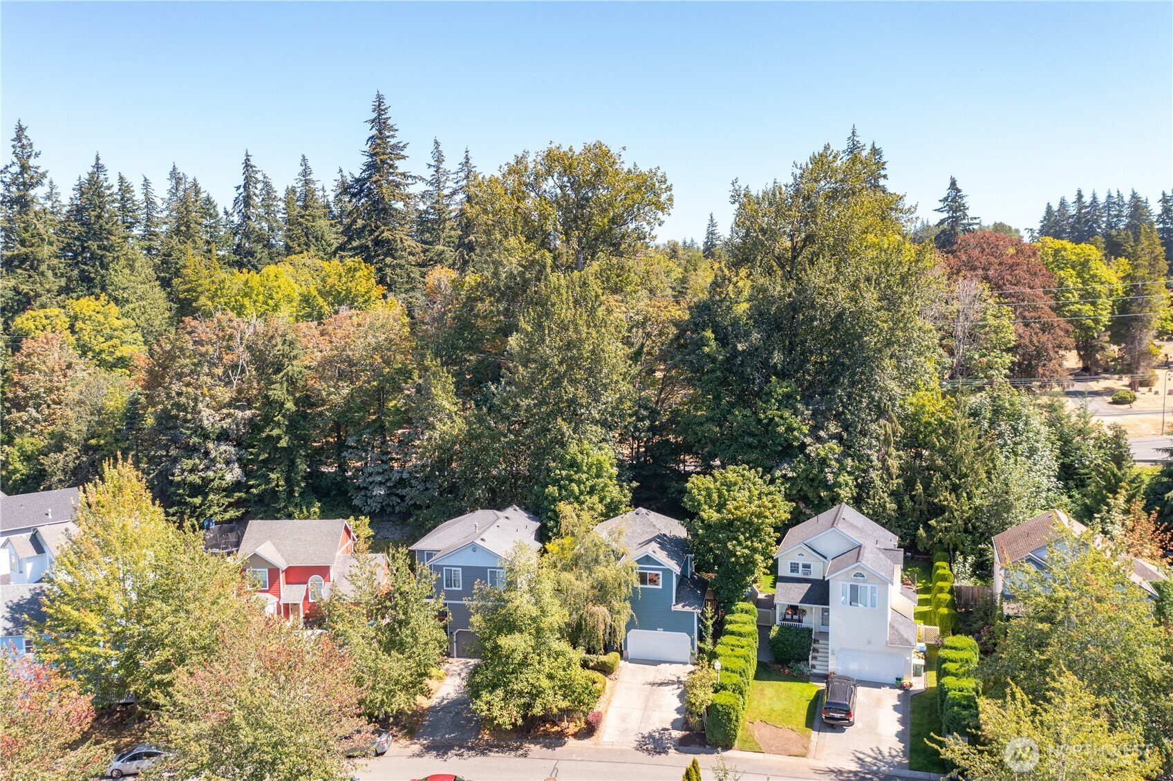 1428 Sweetbay Drive