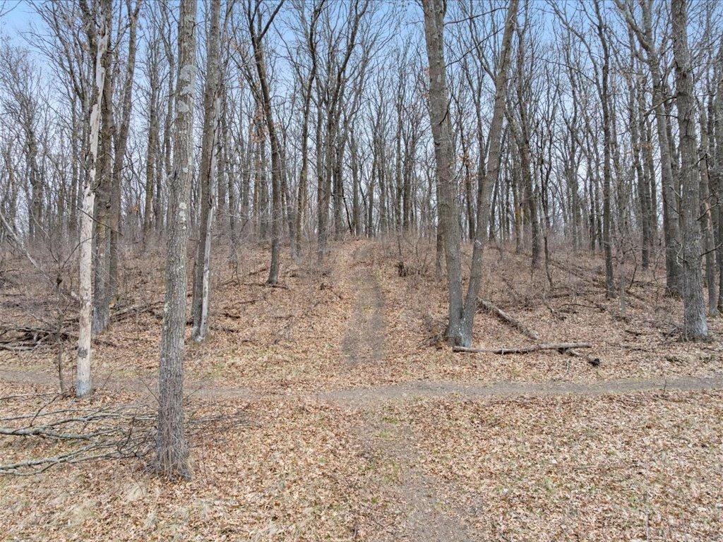 3728 Sleepy Hollow Road