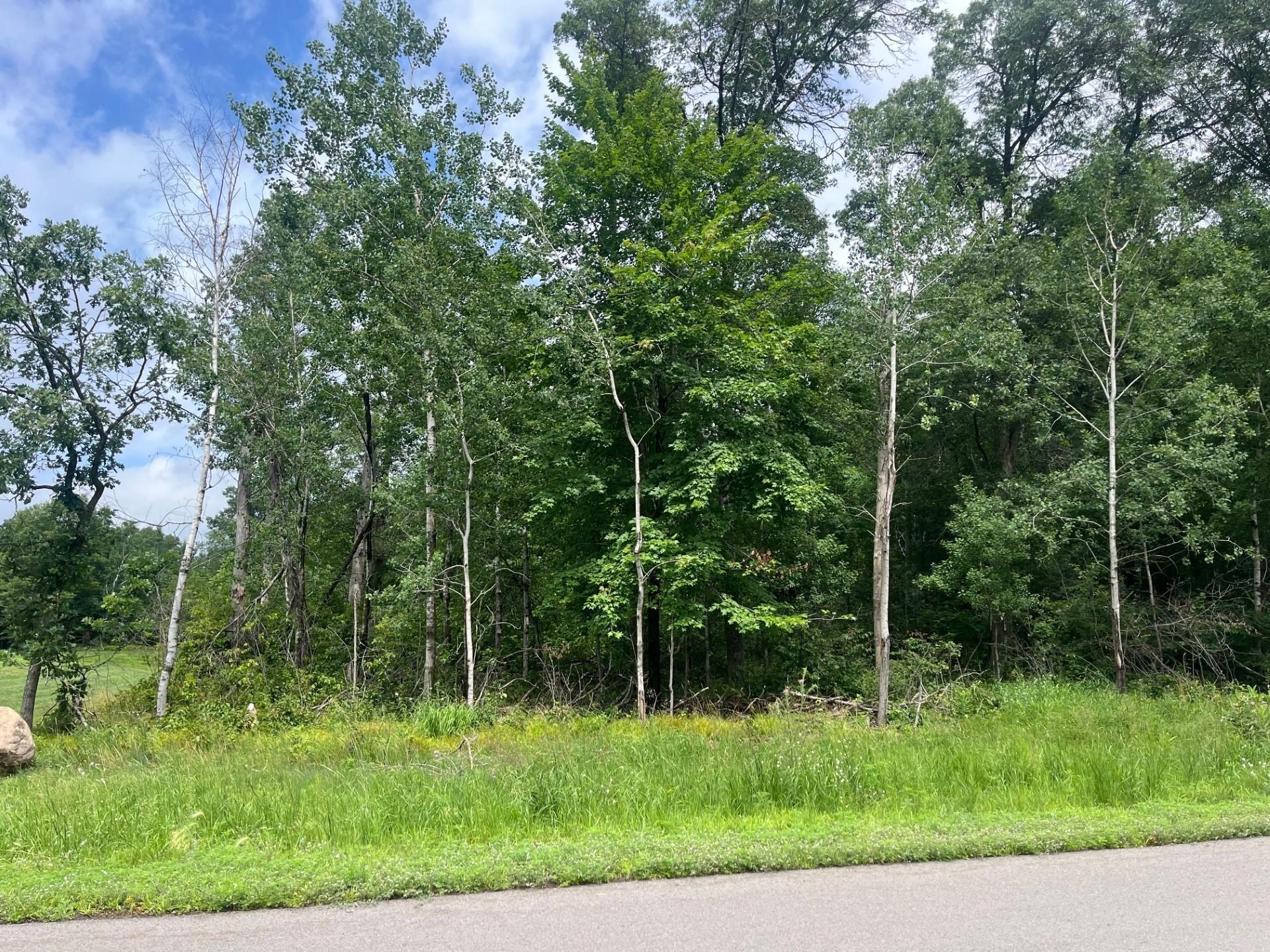 Lot 6 Block 2 Cedar Scenic Road N