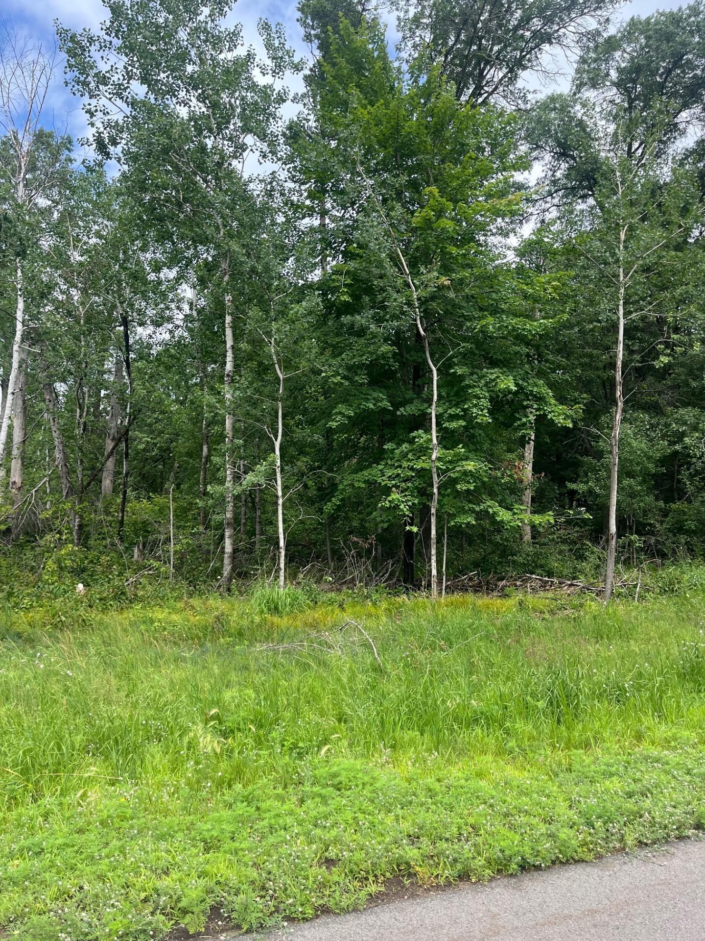 Lot 6 Block 2 Cedar Scenic Road N