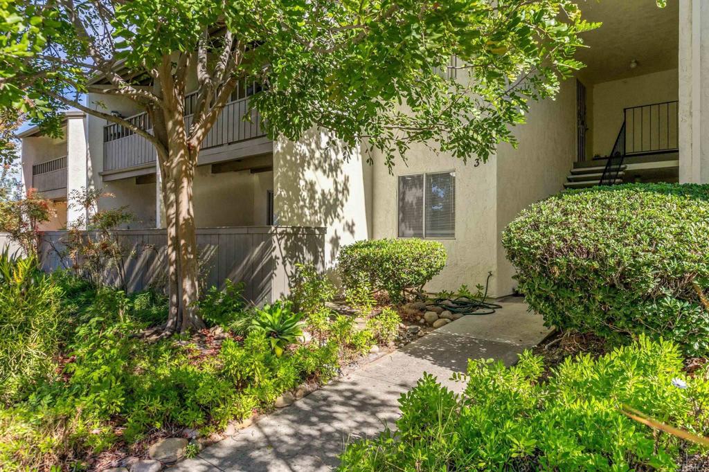 9175 Campina Drive 3