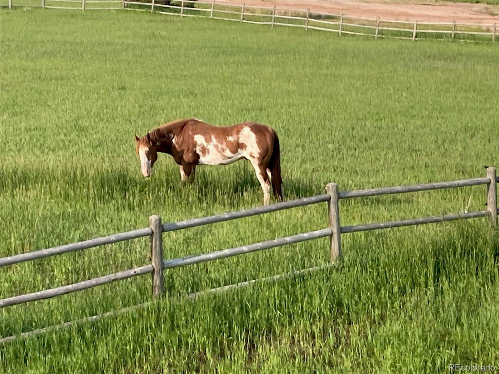 31900 Lonesome Dove Court