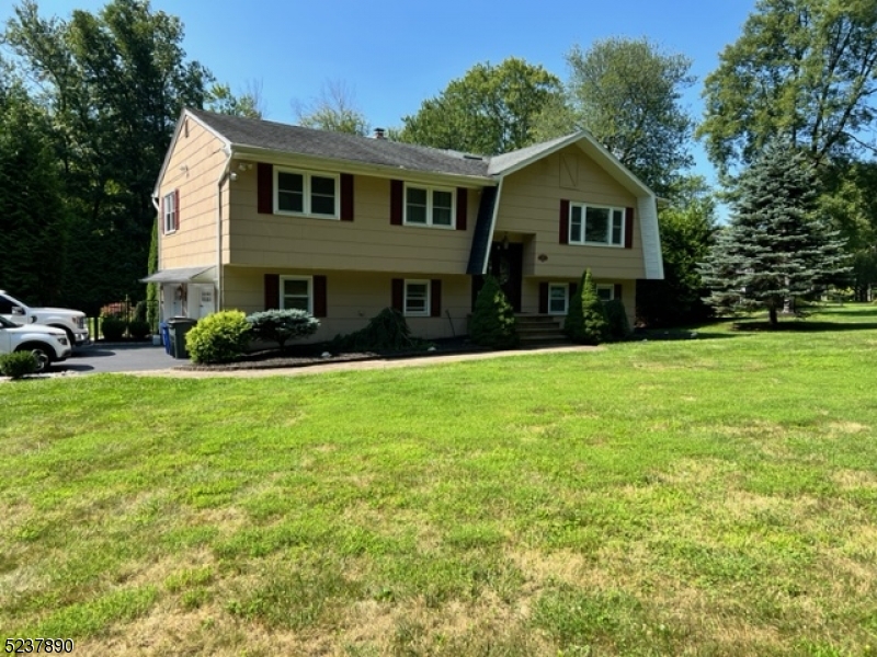 10 Alexander Dr