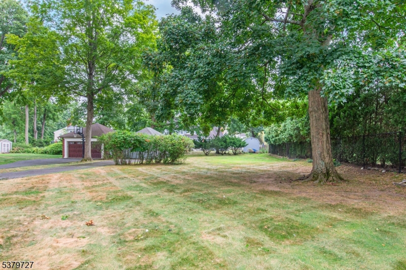 50 FRANKLIN PL