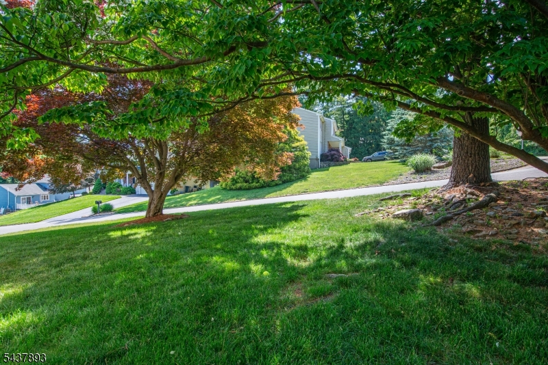 1 TULIP LN