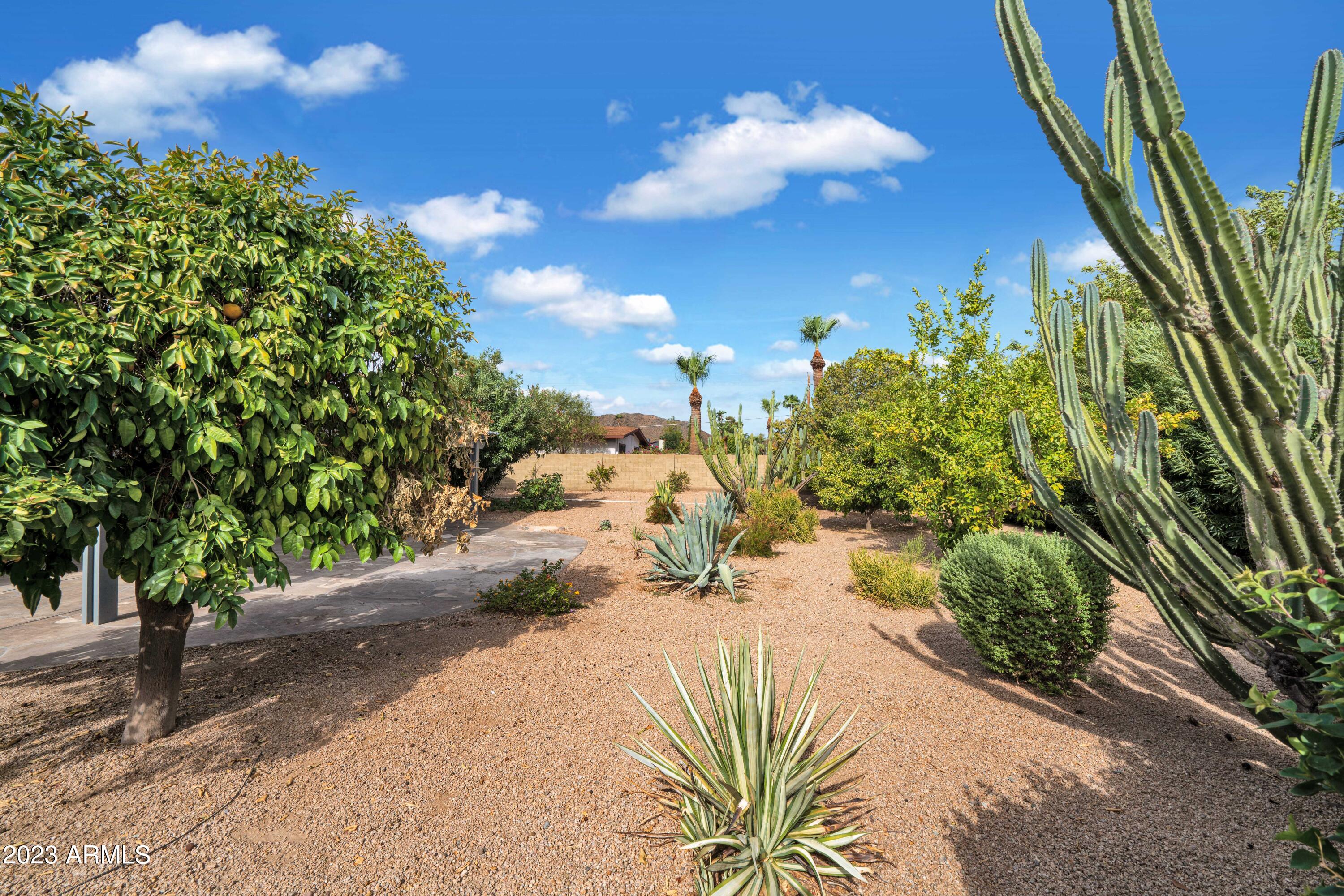 2410 E Sahuaro Drive