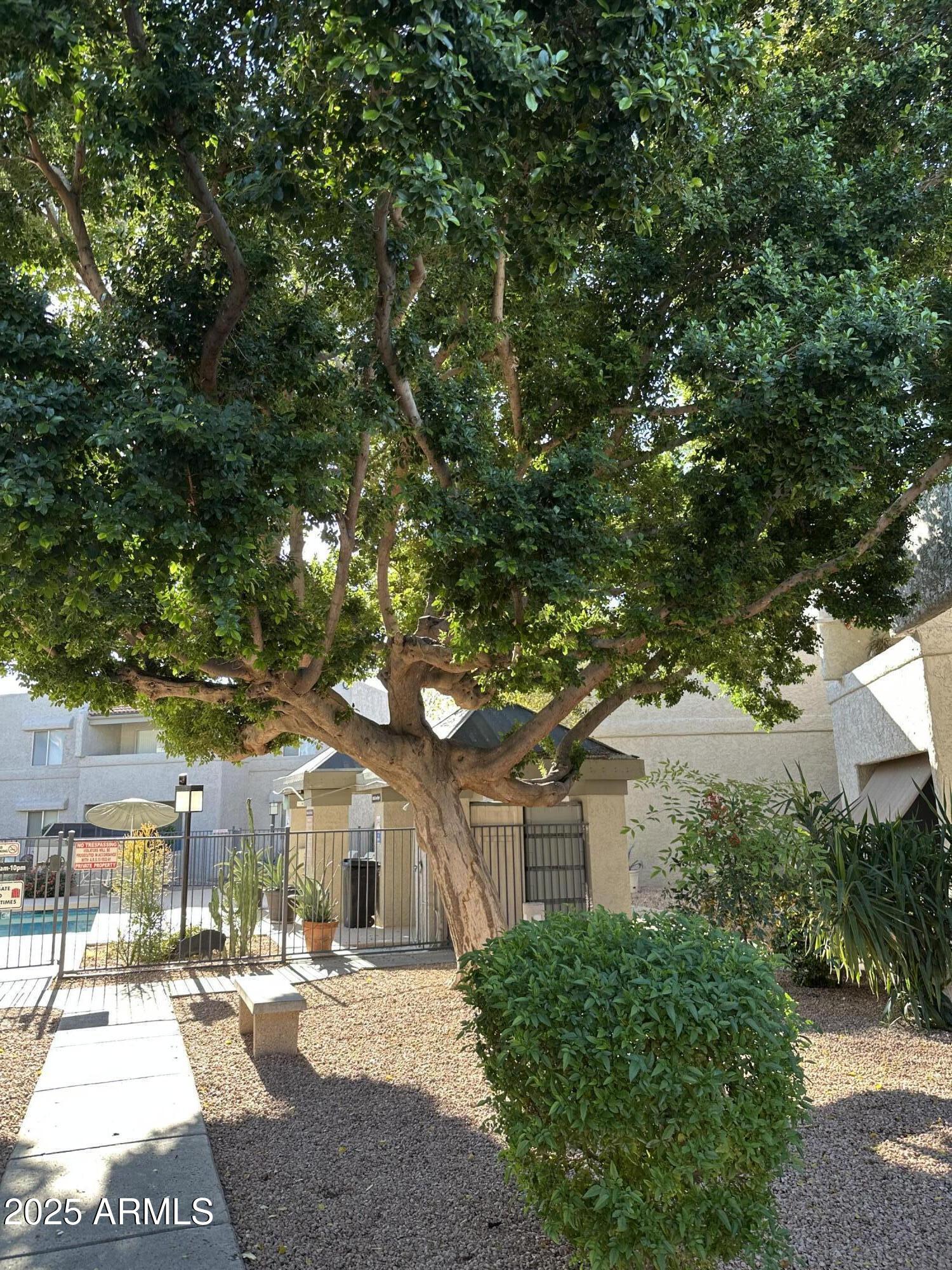 4444 E PARADISE VILLAGE Parkway 159