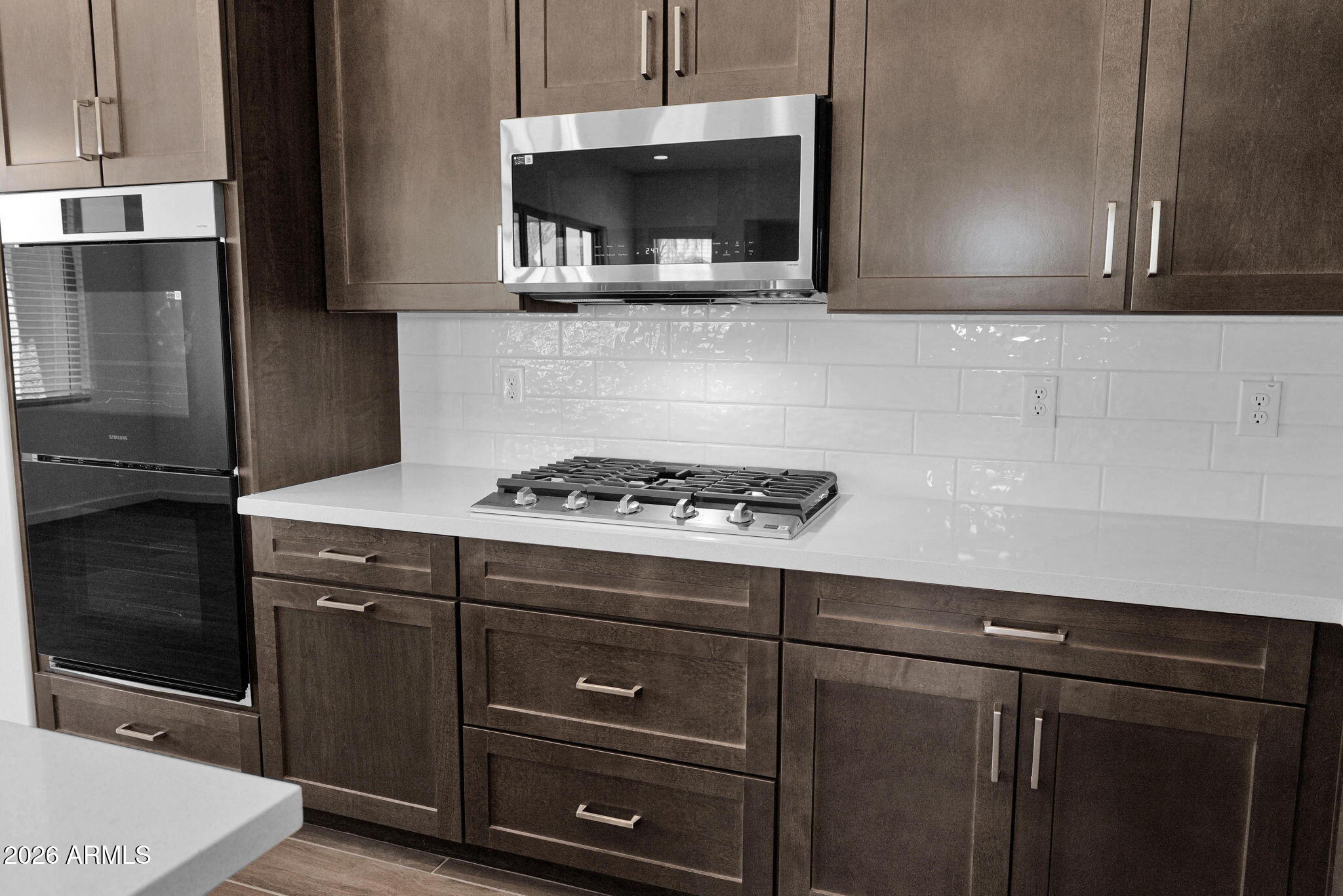 21042 E CAMINA BUENA VISTA Court