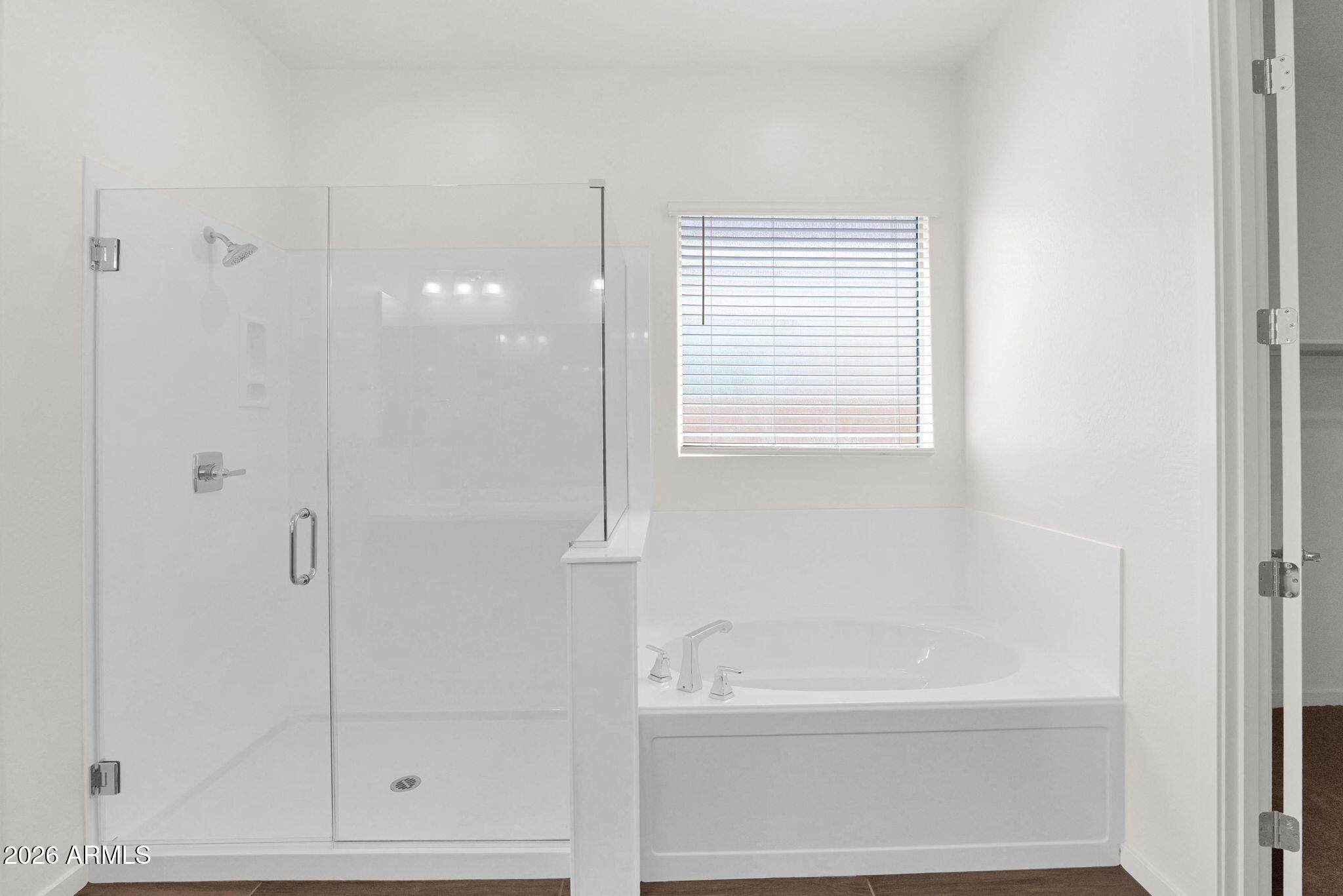 21042 E CAMINA BUENA VISTA Court