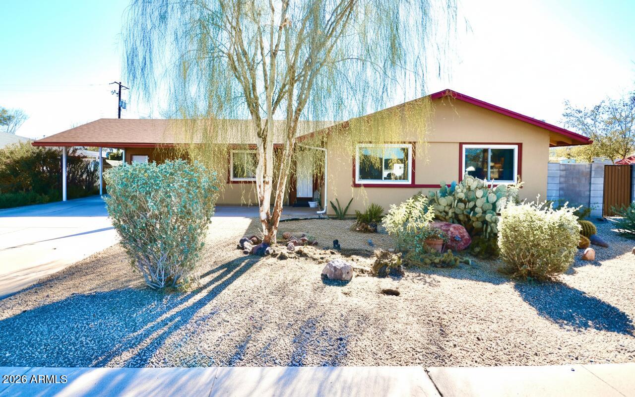 1215 W COLTER Street