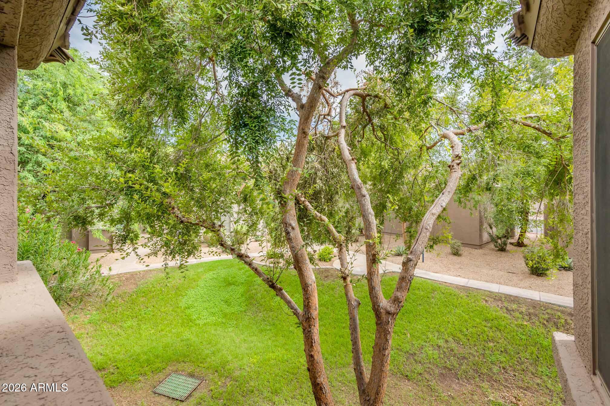 11680 E SAHUARO Drive 2020