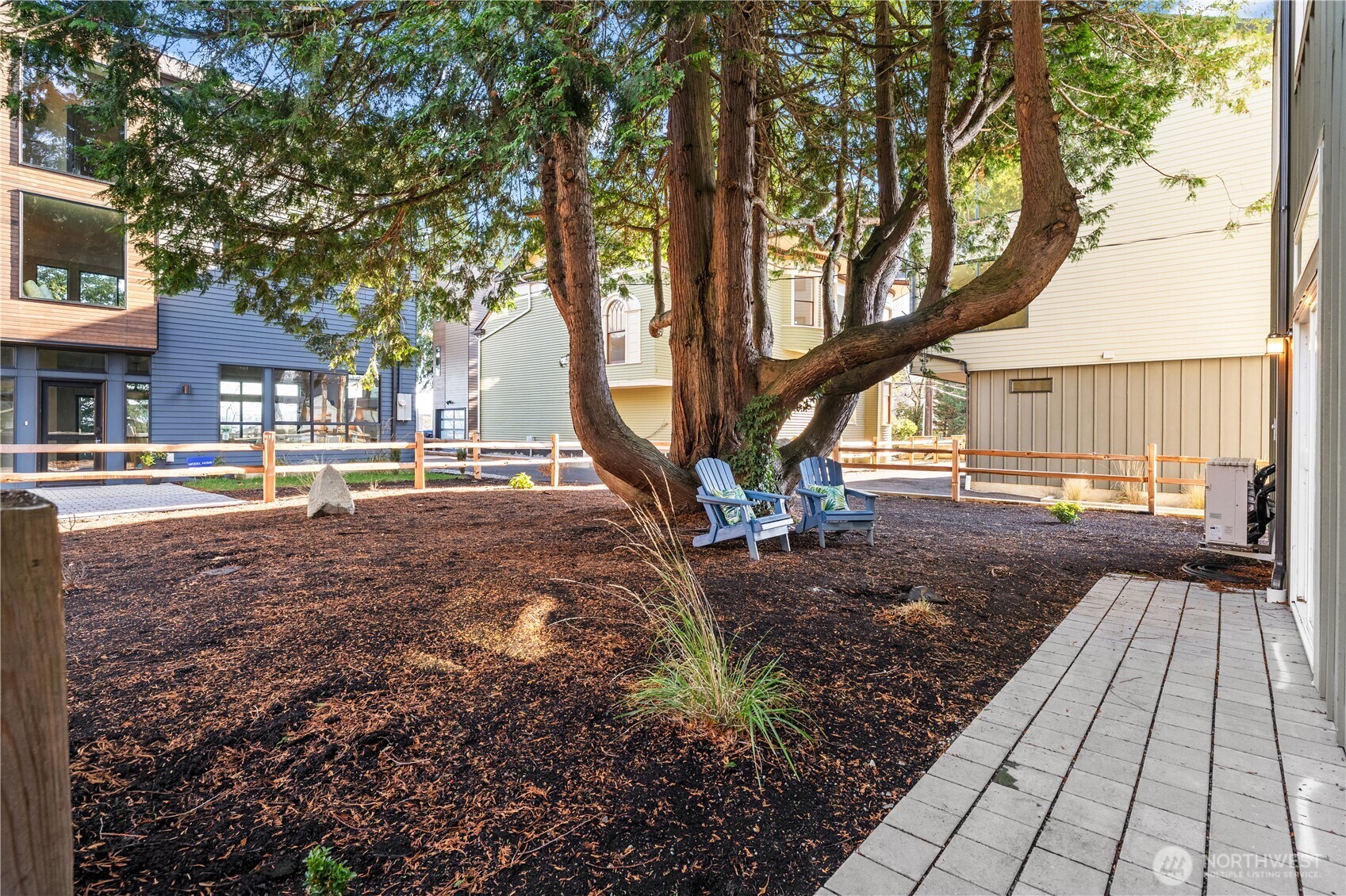 Courtyard with a sprawling mature tree, two blue Adirondack chairs, and a paved walkway.