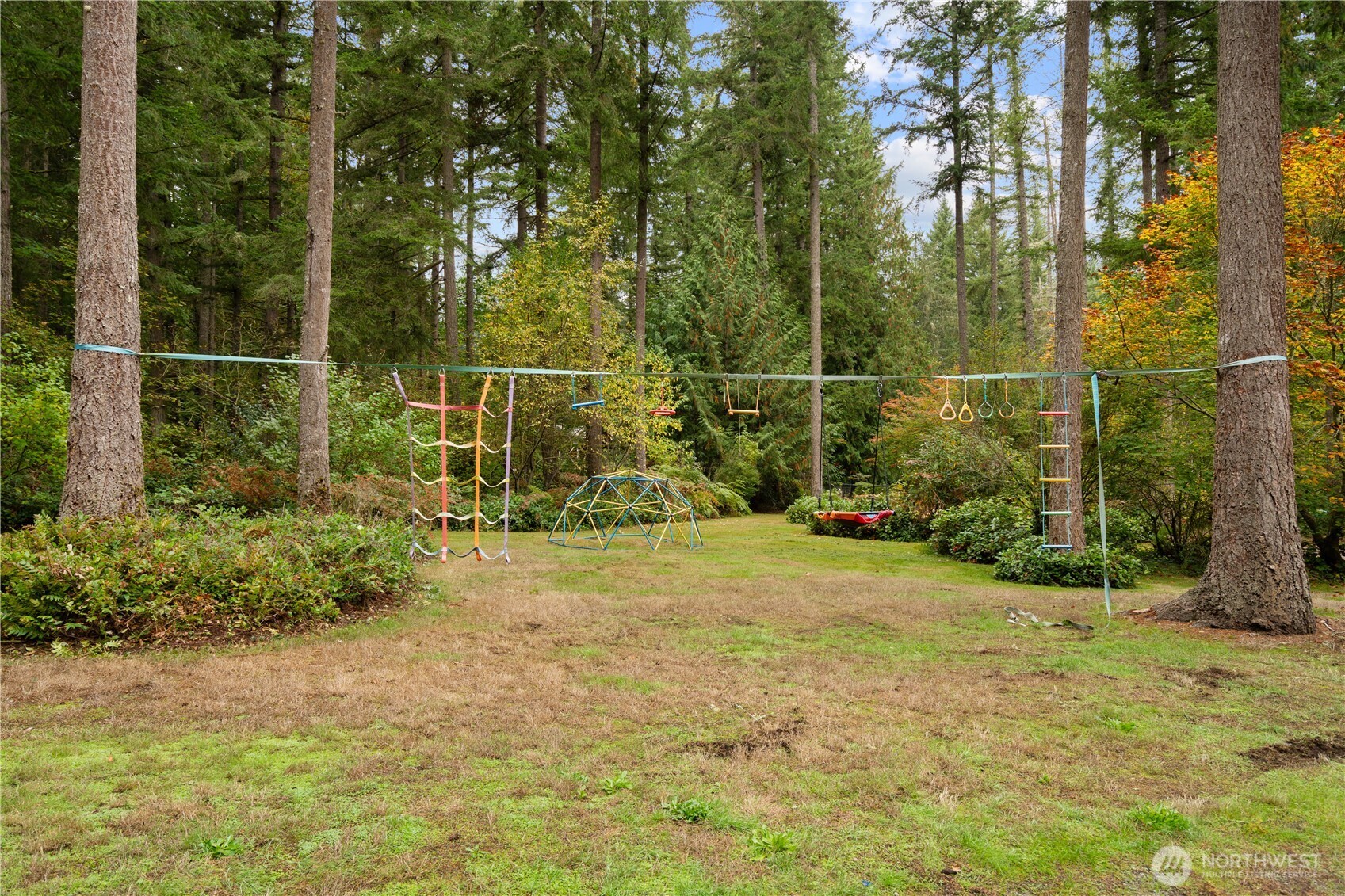Wooded backyard with a suspended obstacle course, climbing dome, and hanging swing.