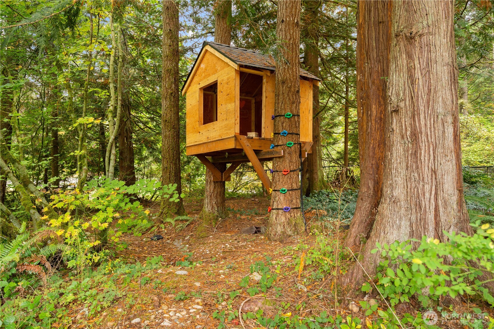 Wooden treehouse among mature trees, with colorful climbing holds on a tree trunk.