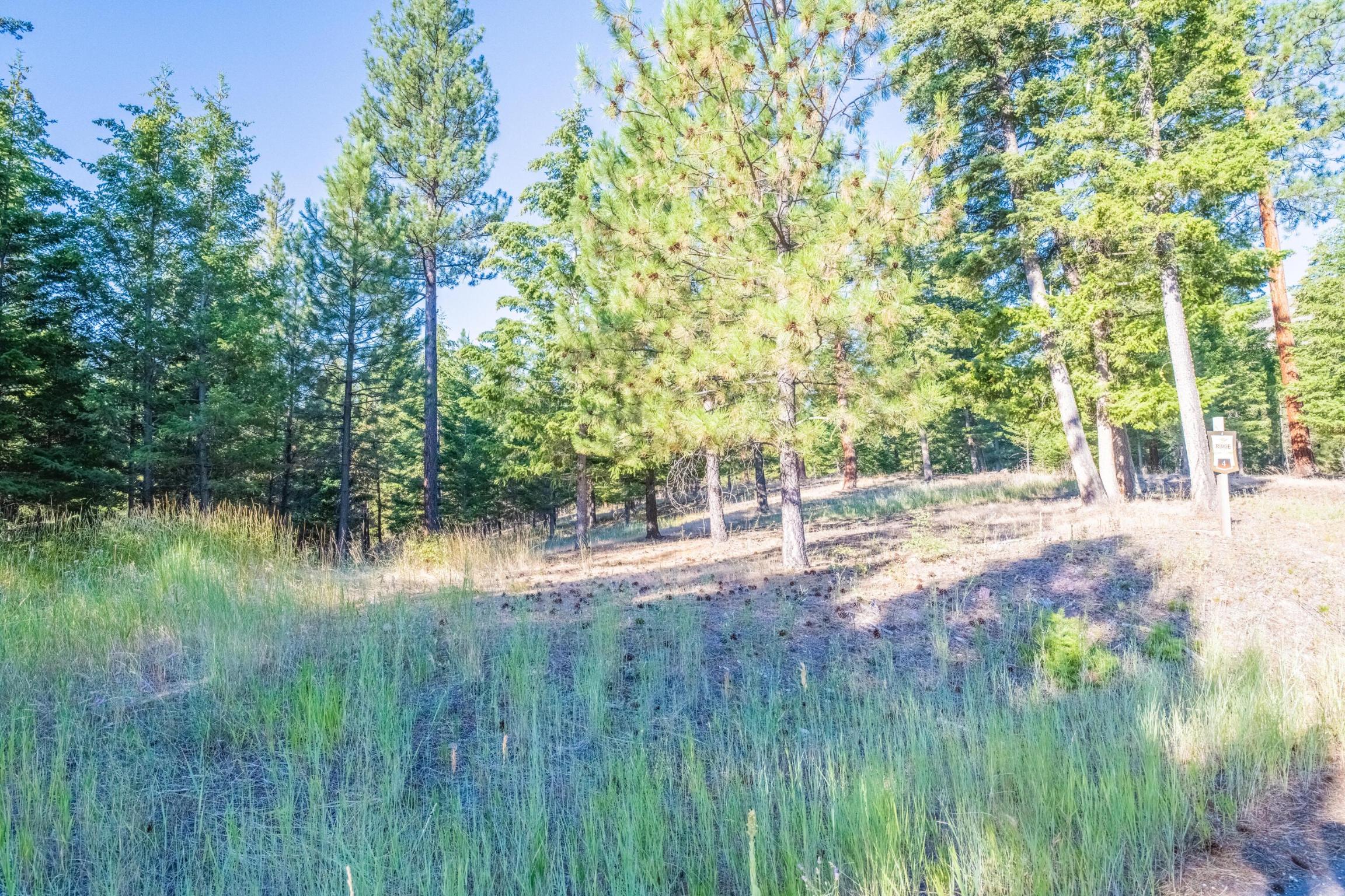 14300 Caddisfly Court