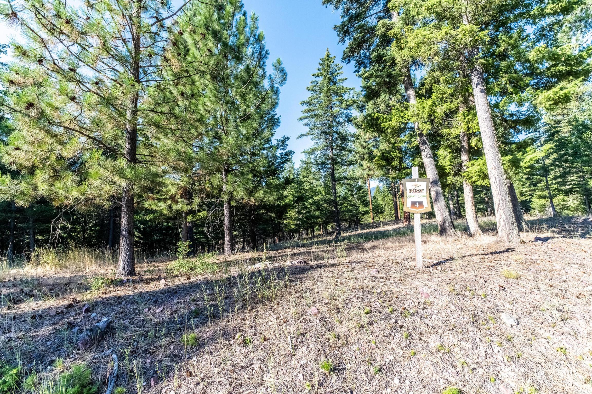 14300 Caddisfly Court