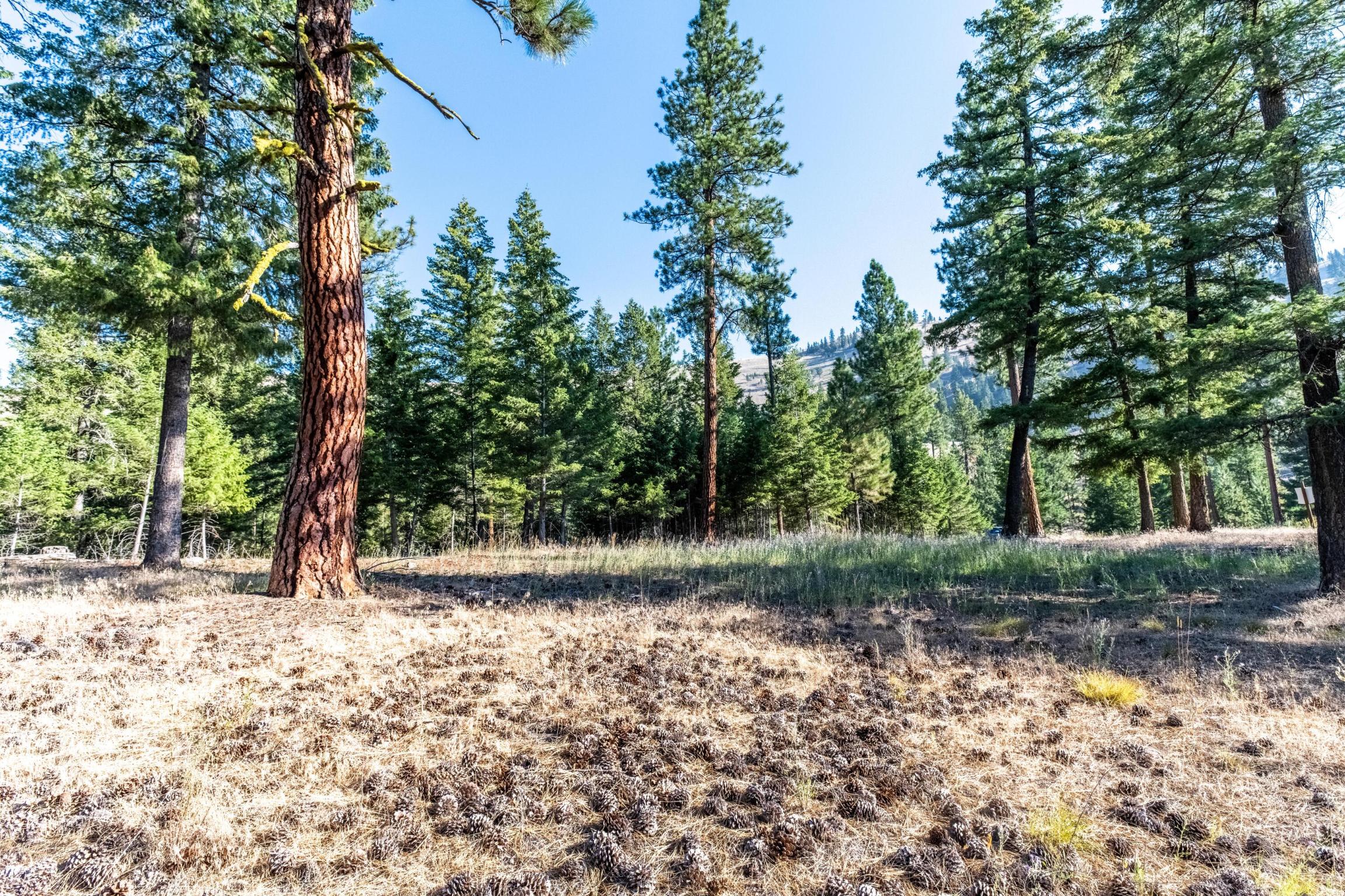 14300 Caddisfly Court