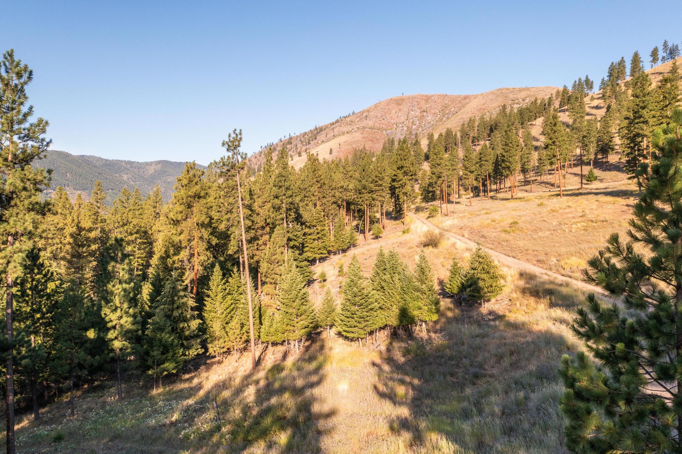 14300 Caddisfly Court