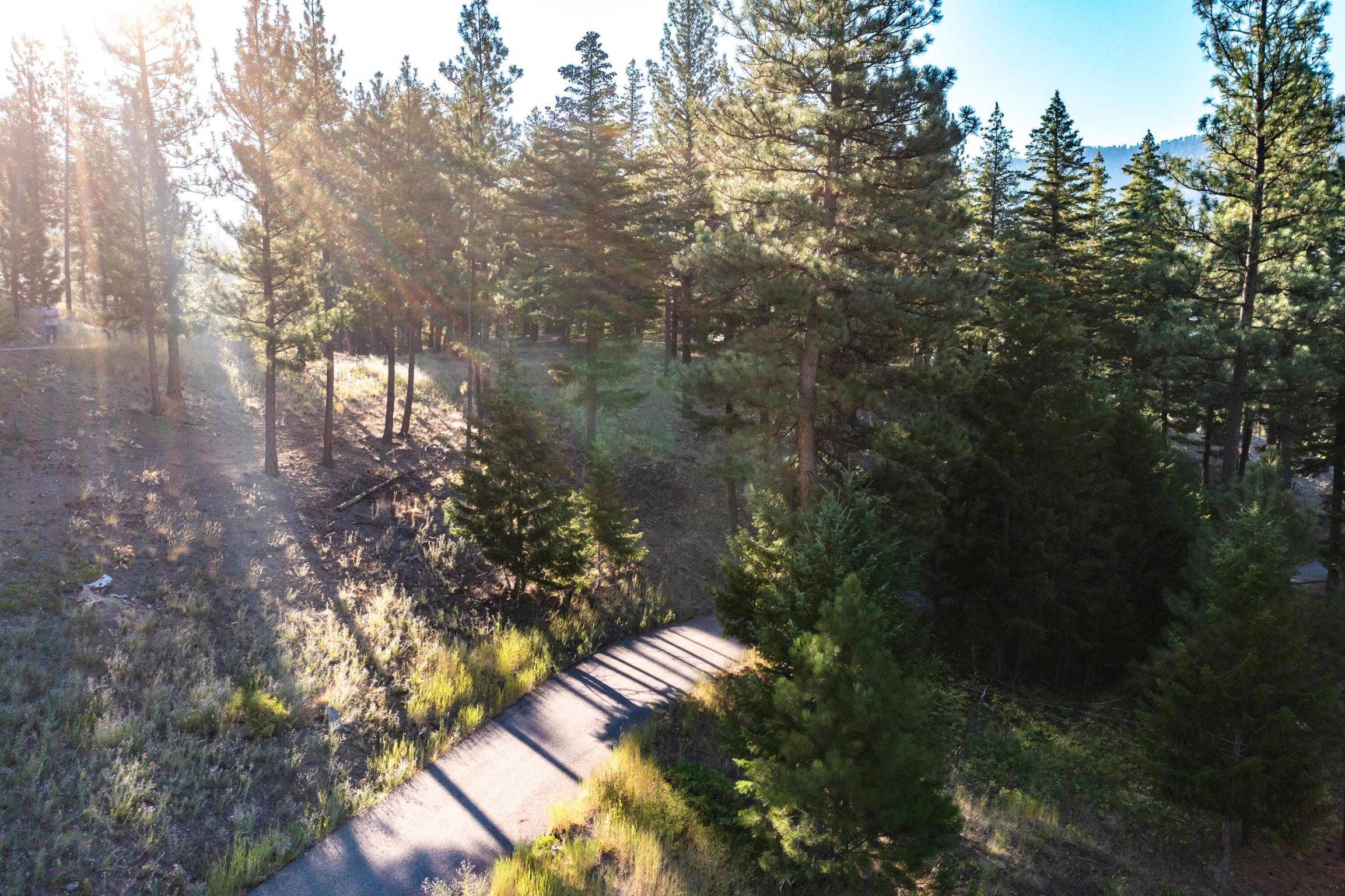 14300 Caddisfly Court