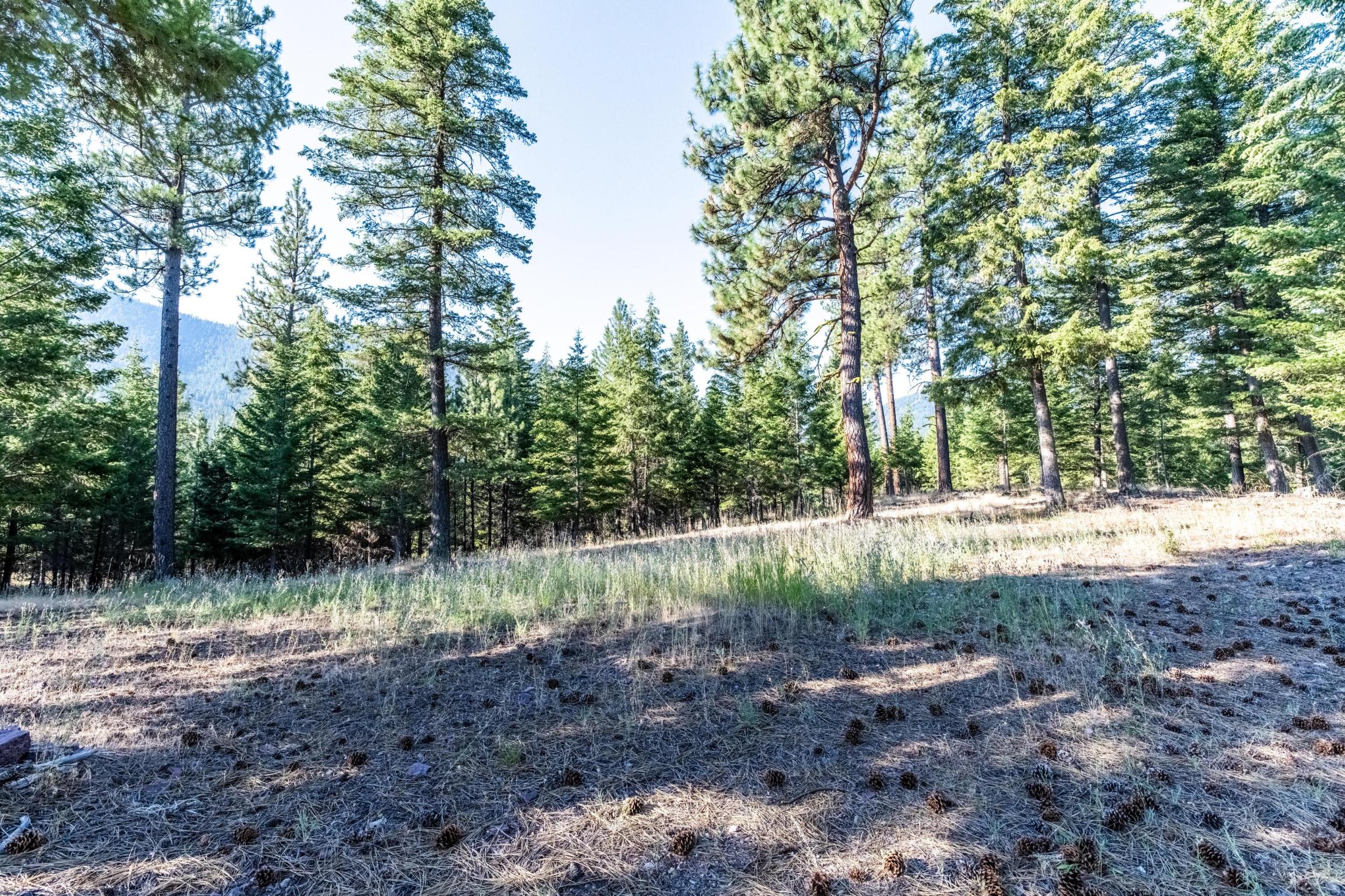 14300 Caddisfly Court