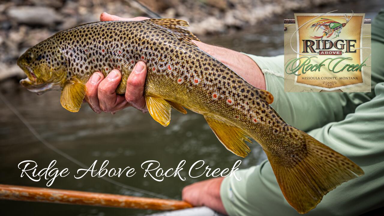 14300 Caddisfly Court