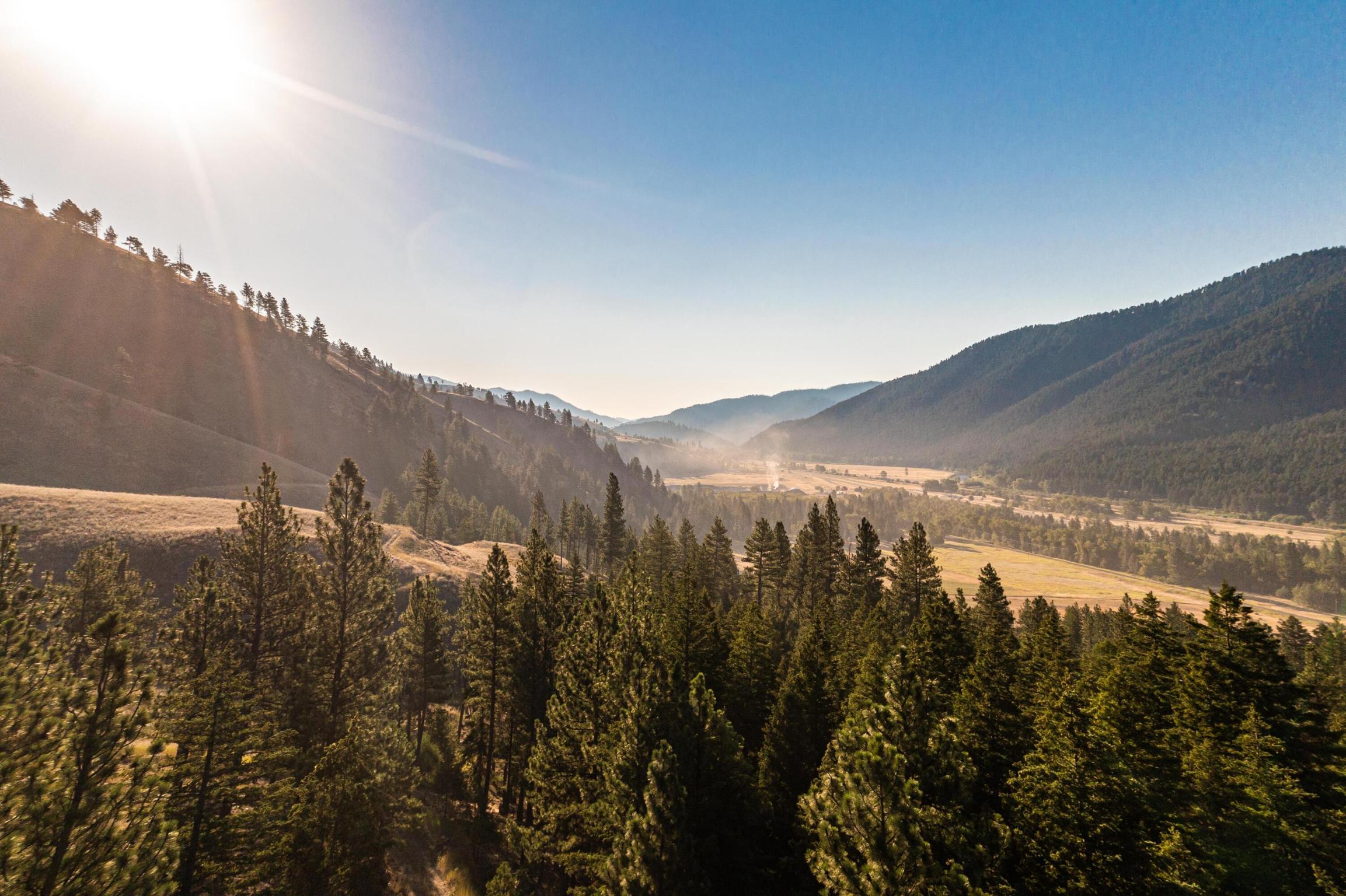 14300 Caddisfly Court