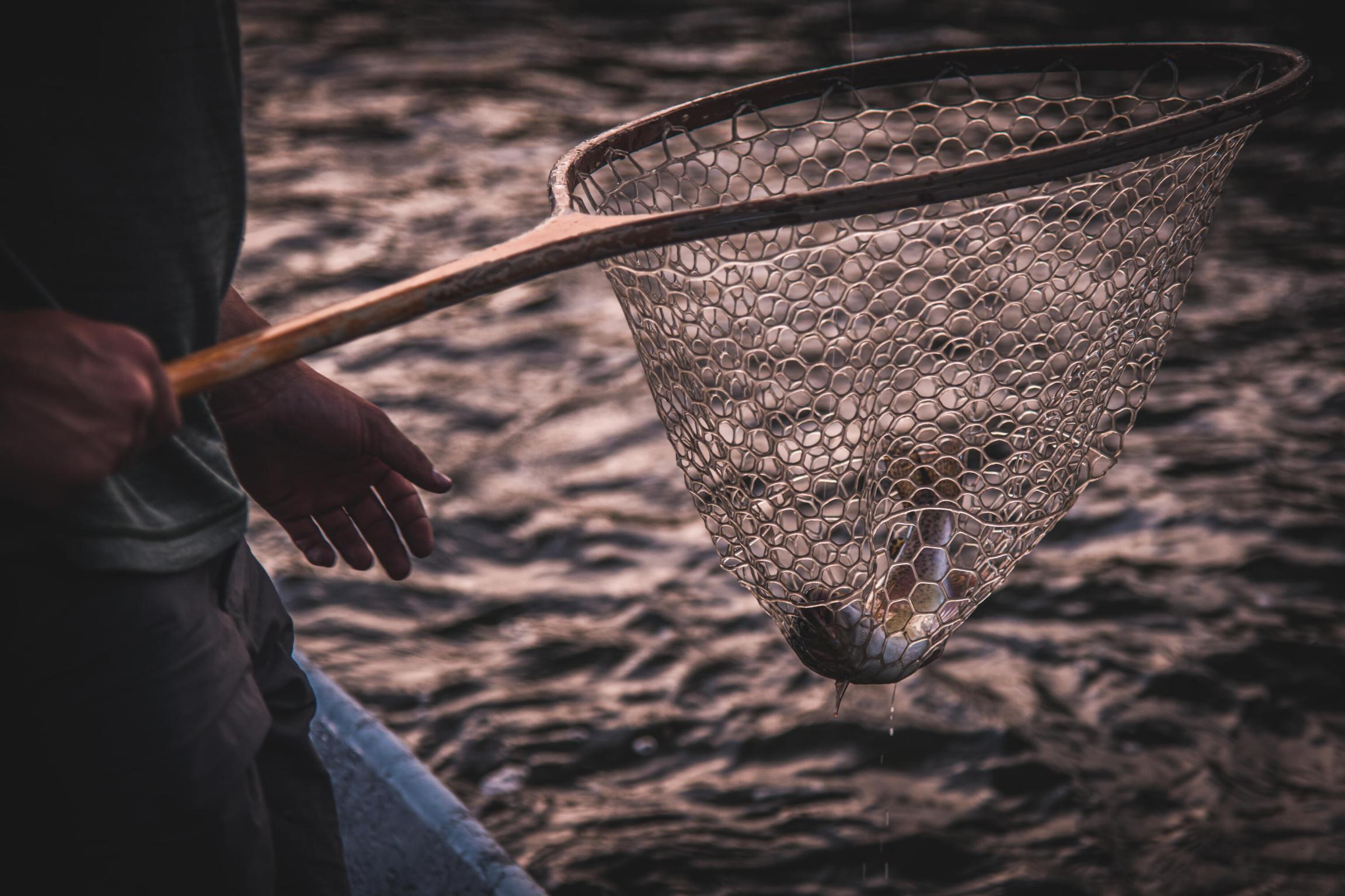 14300 Caddisfly Court