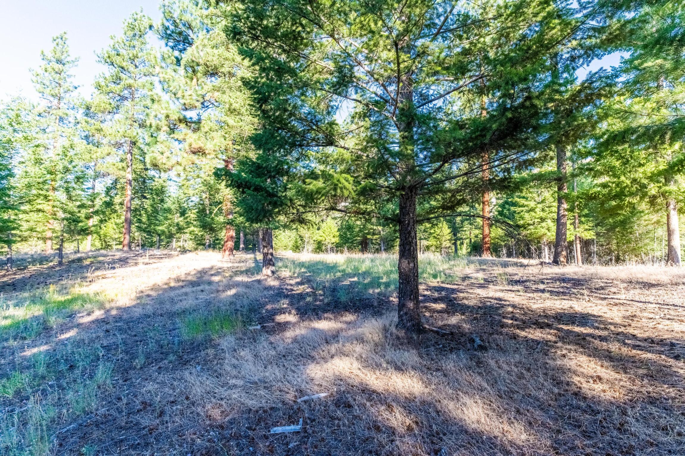 14300 Caddisfly Court