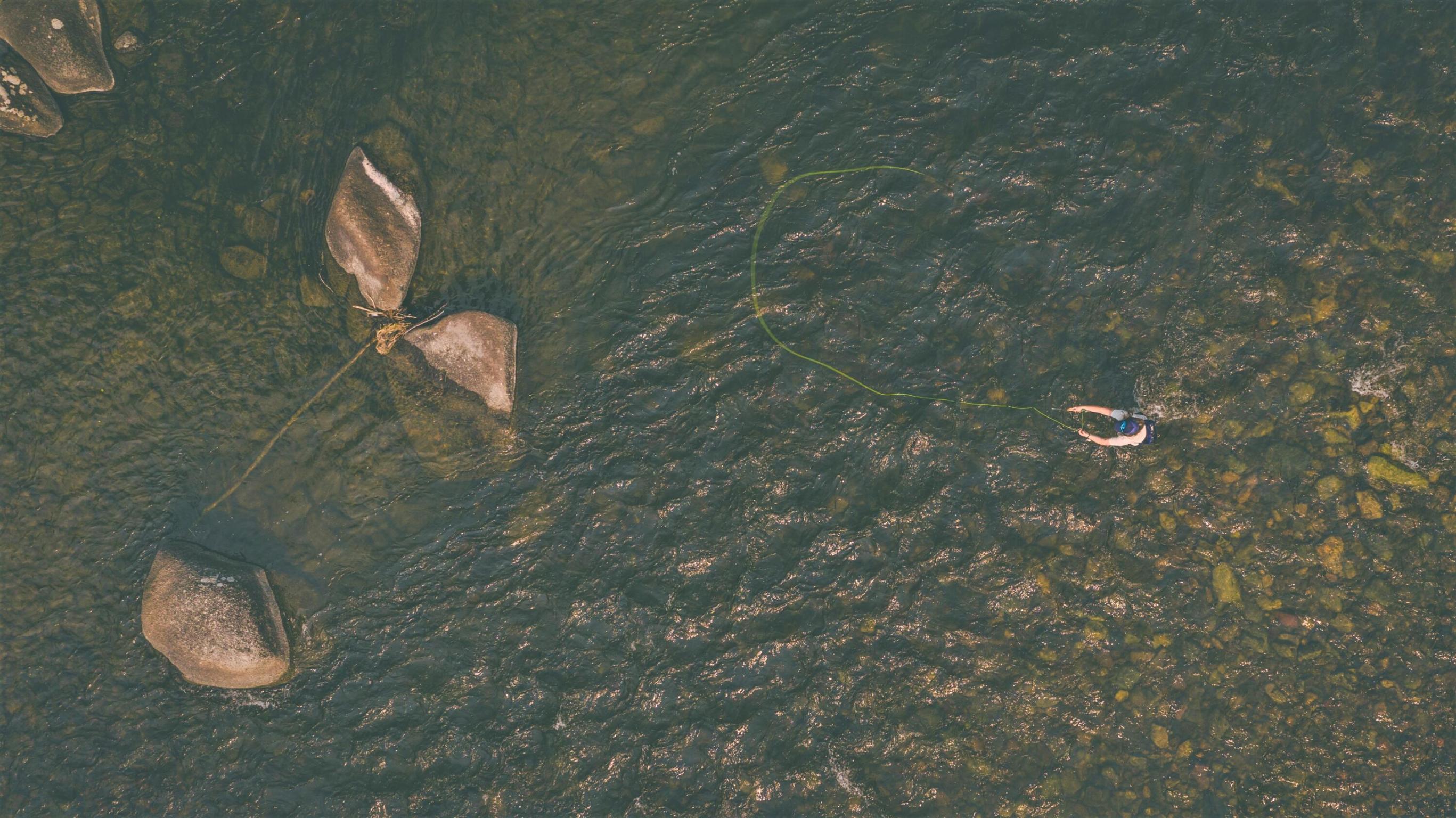 14300 Caddisfly Court