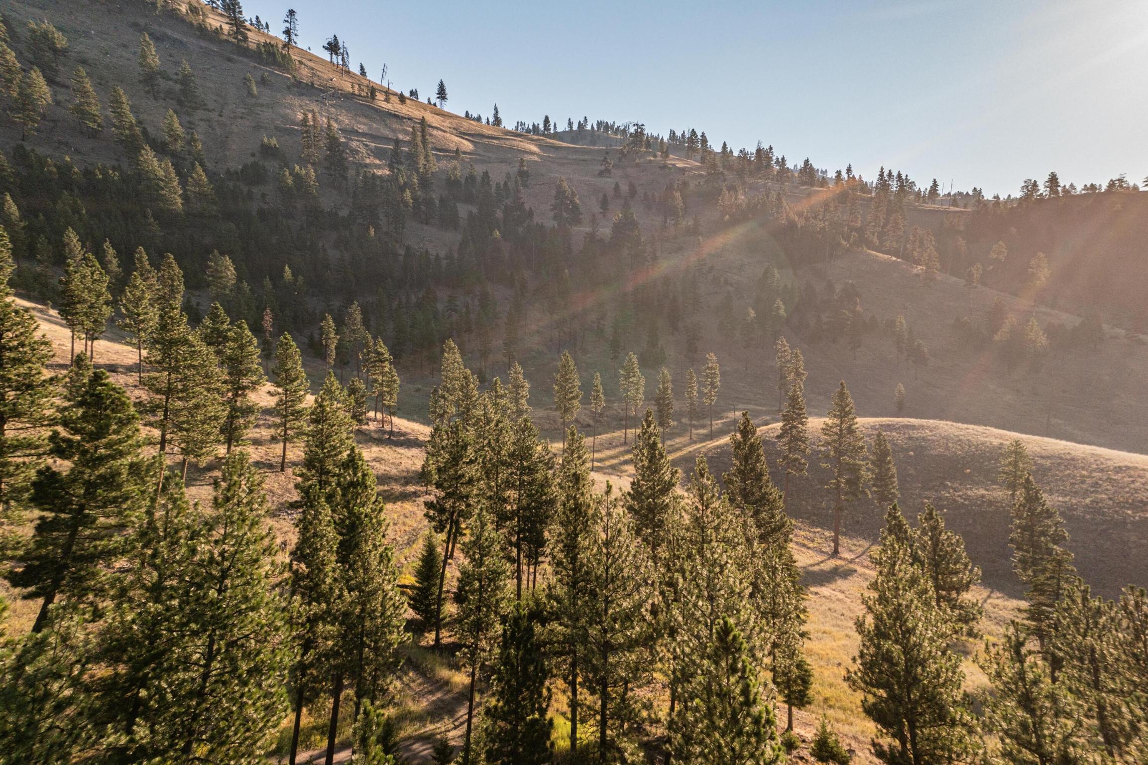 14300 Caddisfly Court