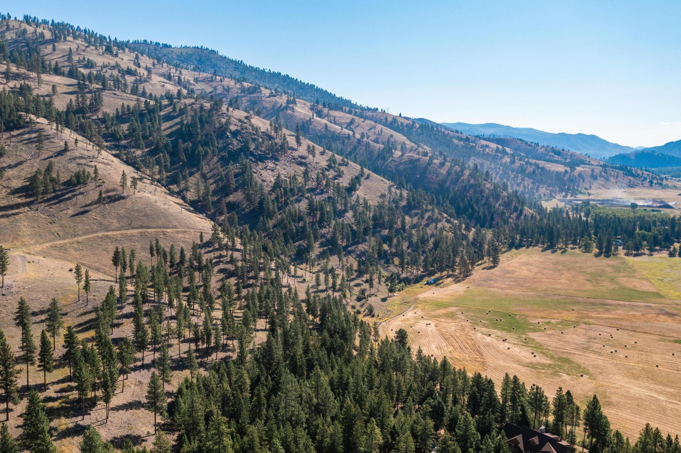 14300 Caddisfly Court