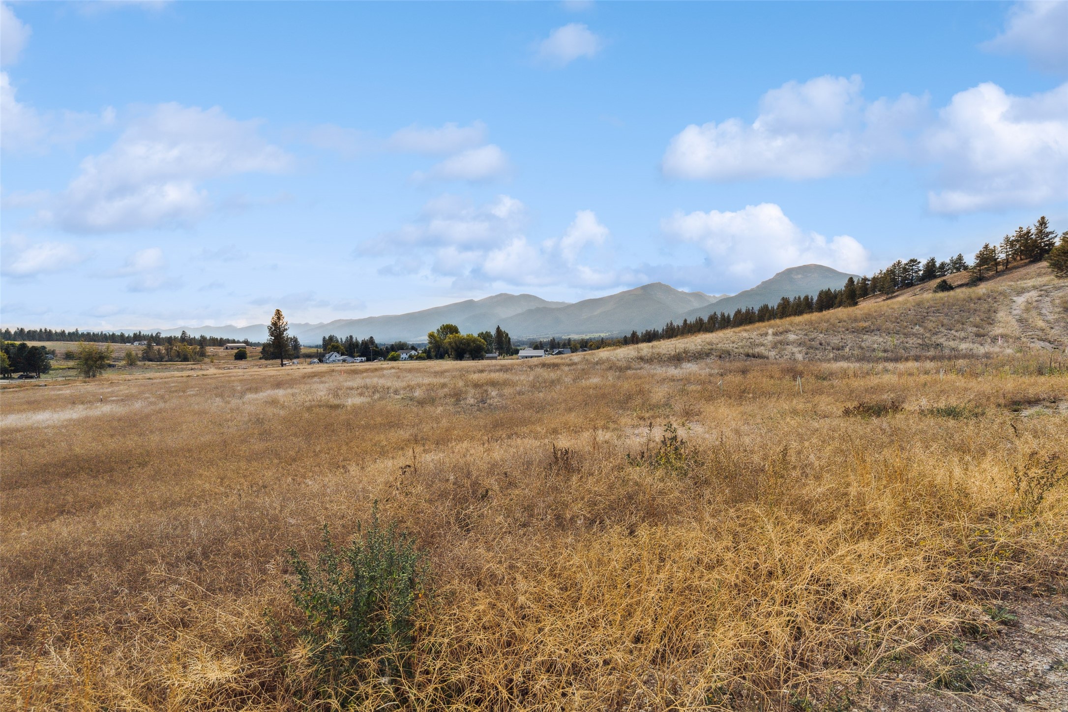 235 Miles Gulch Road