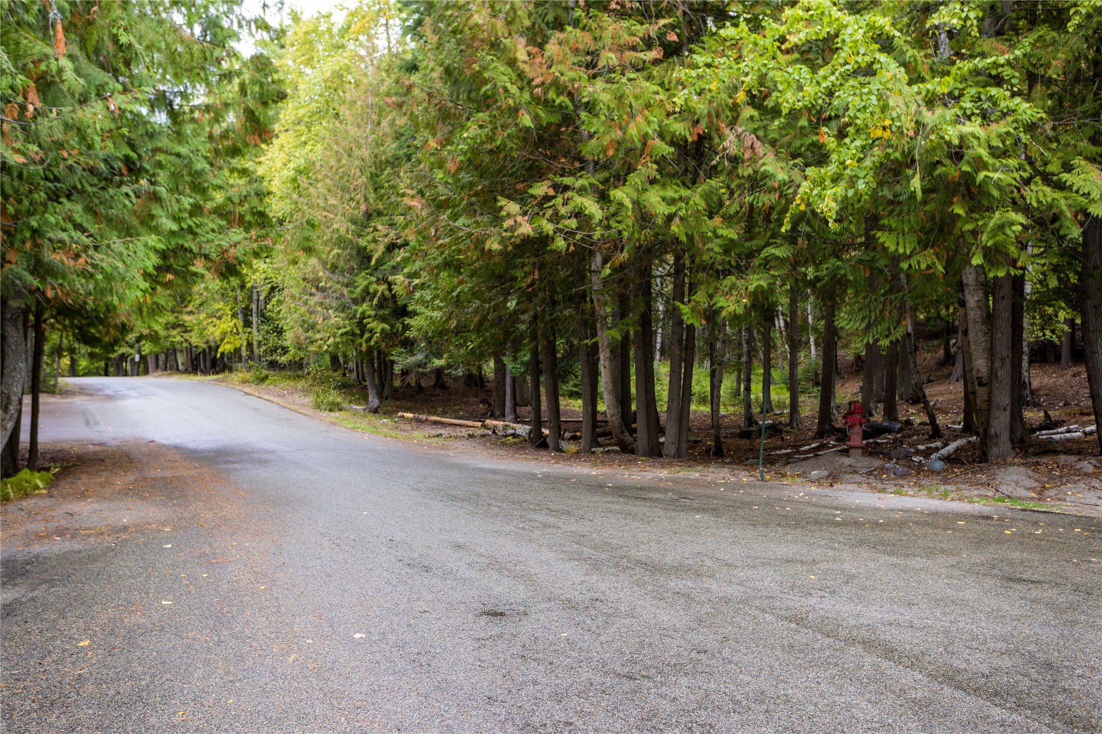 121 Ptarmigan Boulevard 121