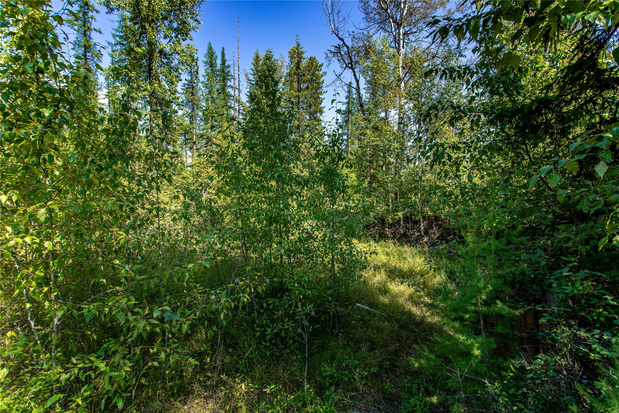 1041 Meadowlark Lane