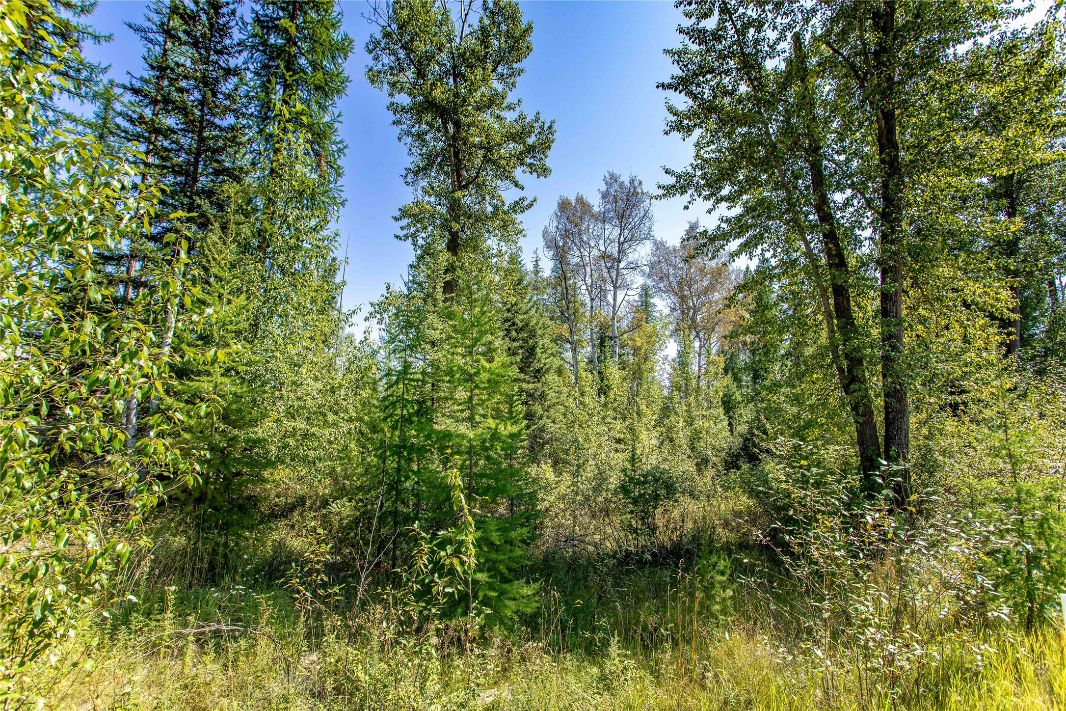 1041 Meadowlark Lane