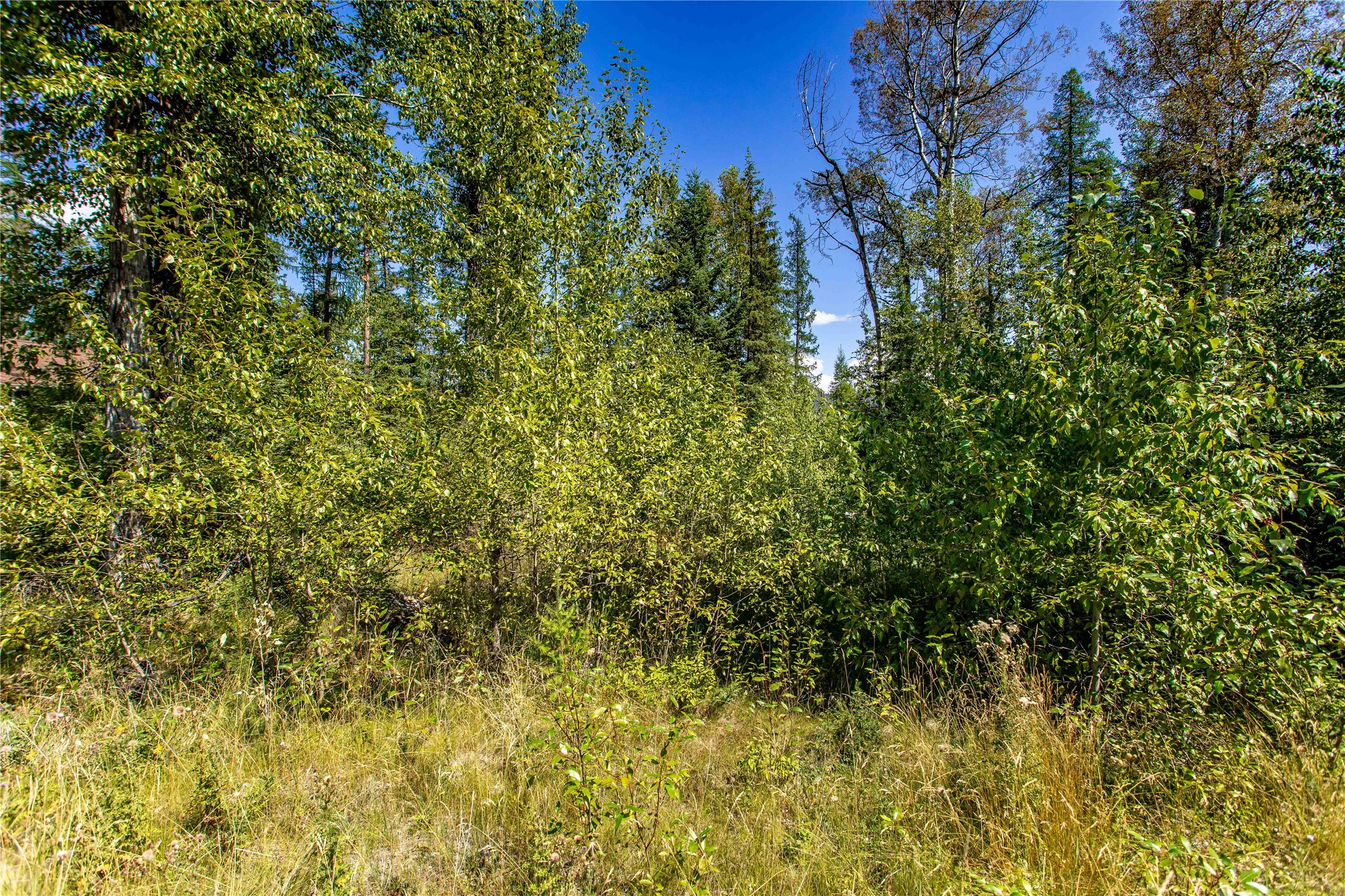 1041 Meadowlark Lane