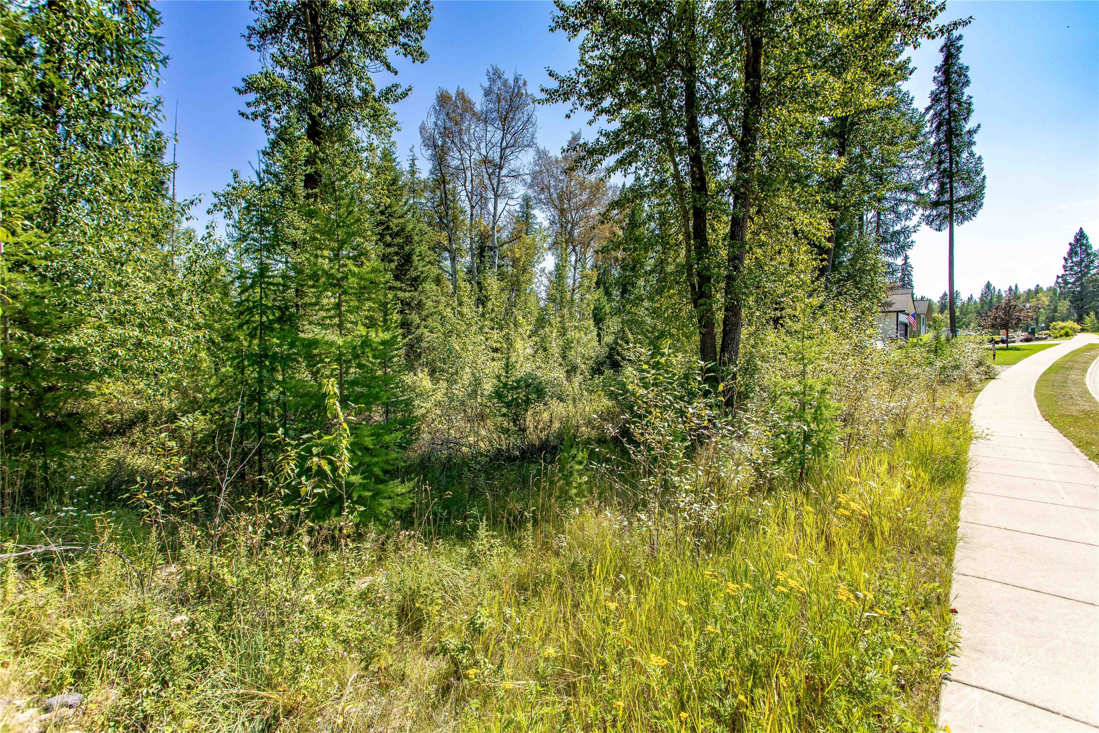 1041 Meadowlark Lane