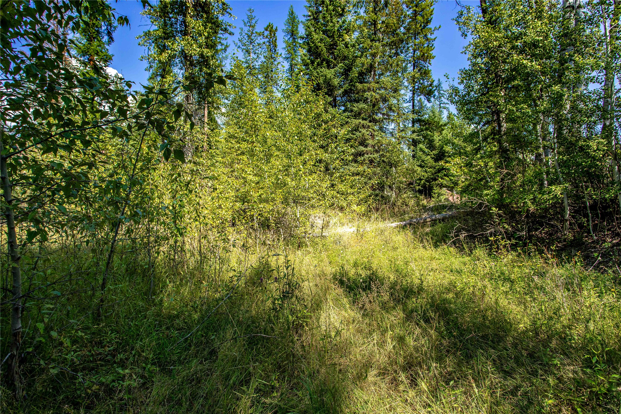 1041 Meadowlark Lane