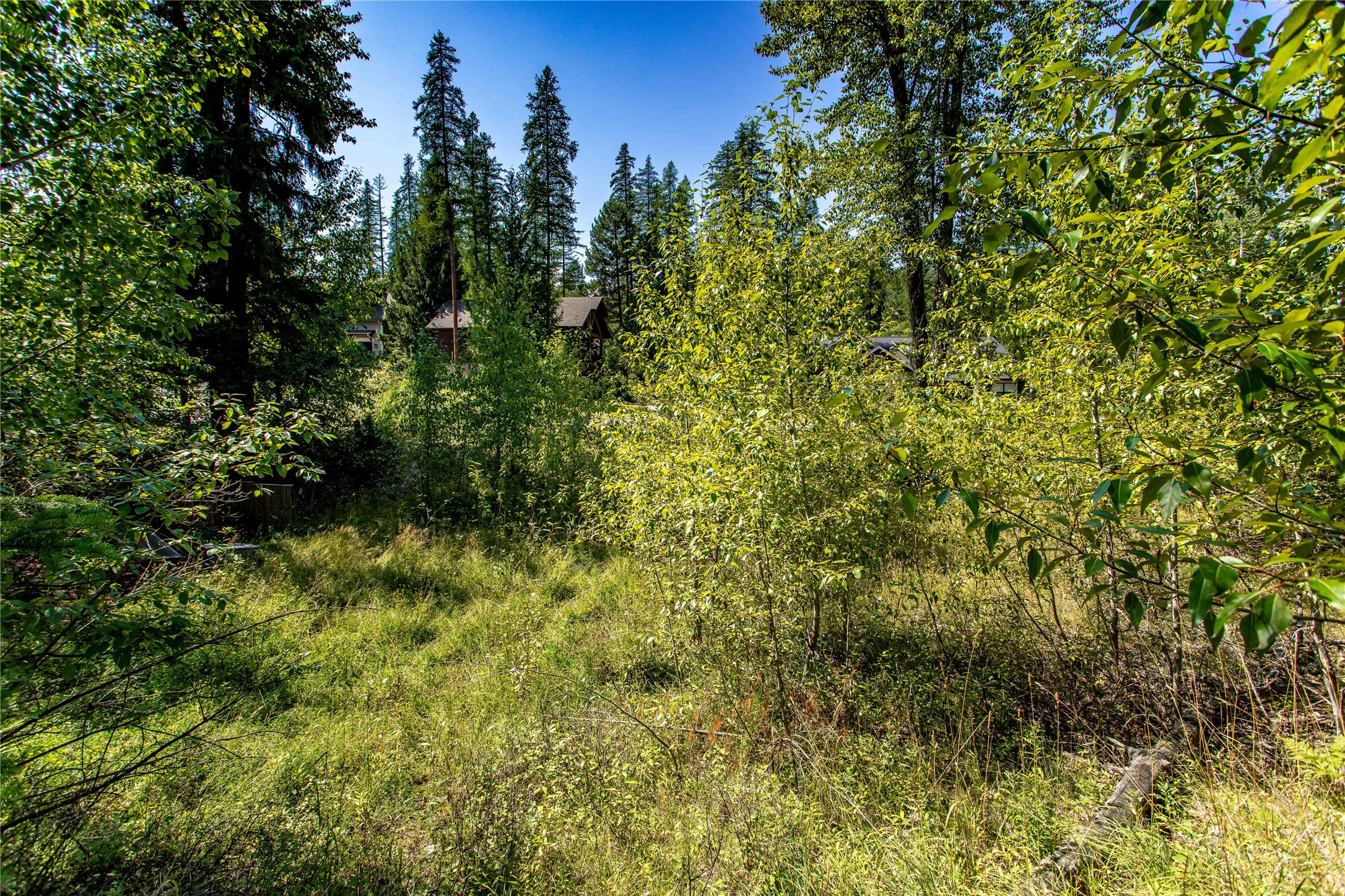 1041 Meadowlark Lane