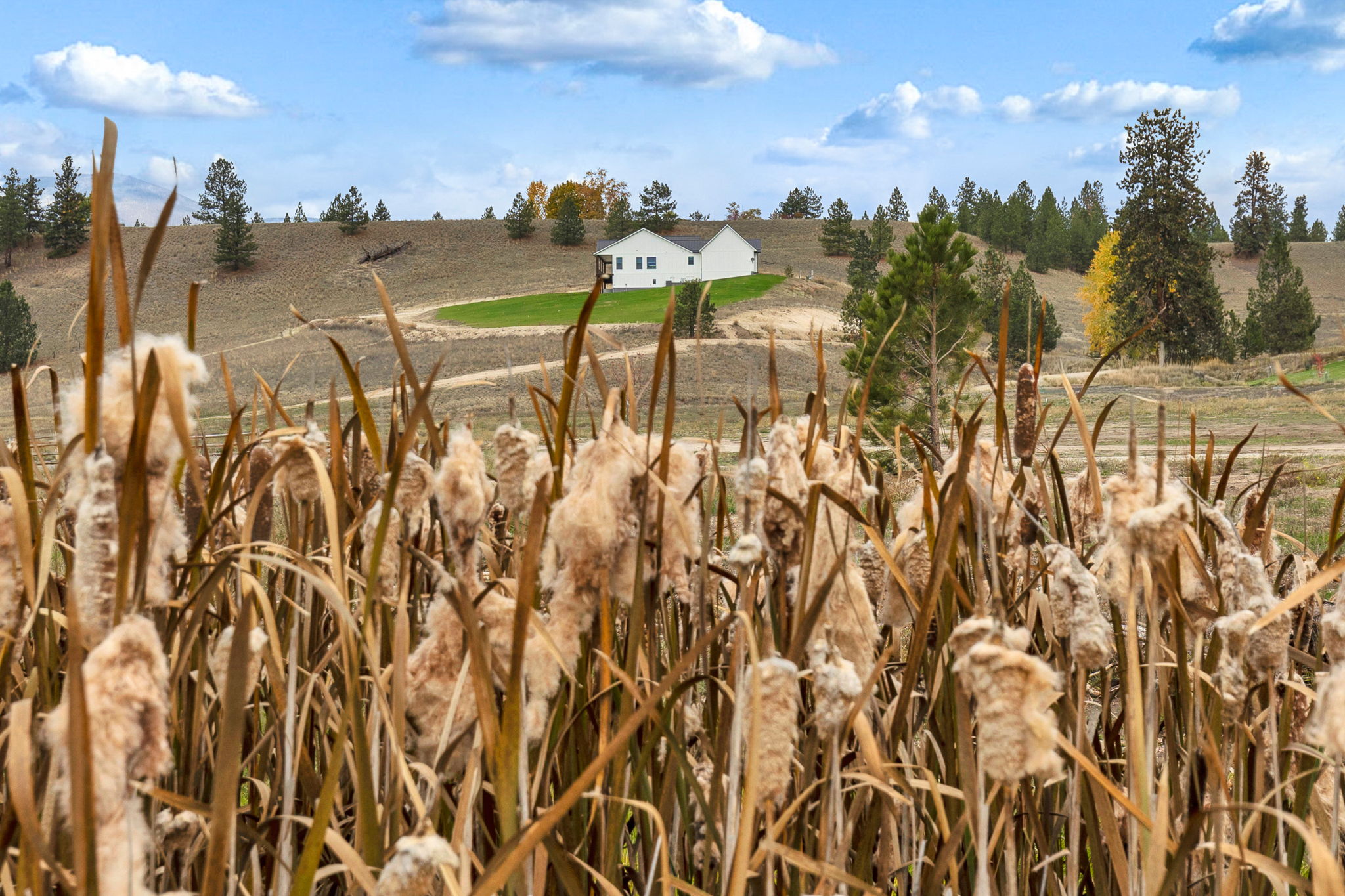 164 Barnwood Way Road