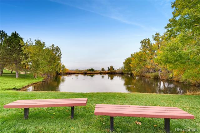 Landscaped pond with two pink benches on the grassy bank and autumn-colored trees.