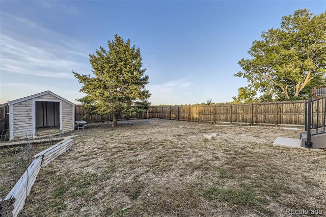 Fenced backyard with dry grass, a small shed, and mature trees.