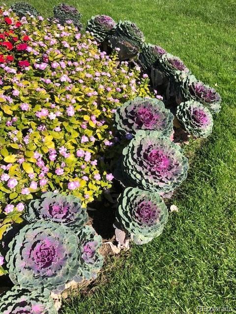 775 S Alton Way Unit: 3C